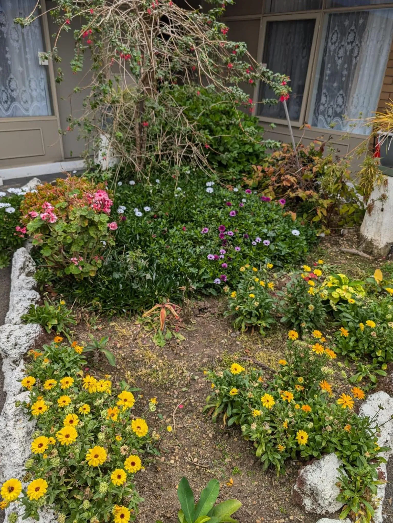 Morwell Parkside Motel