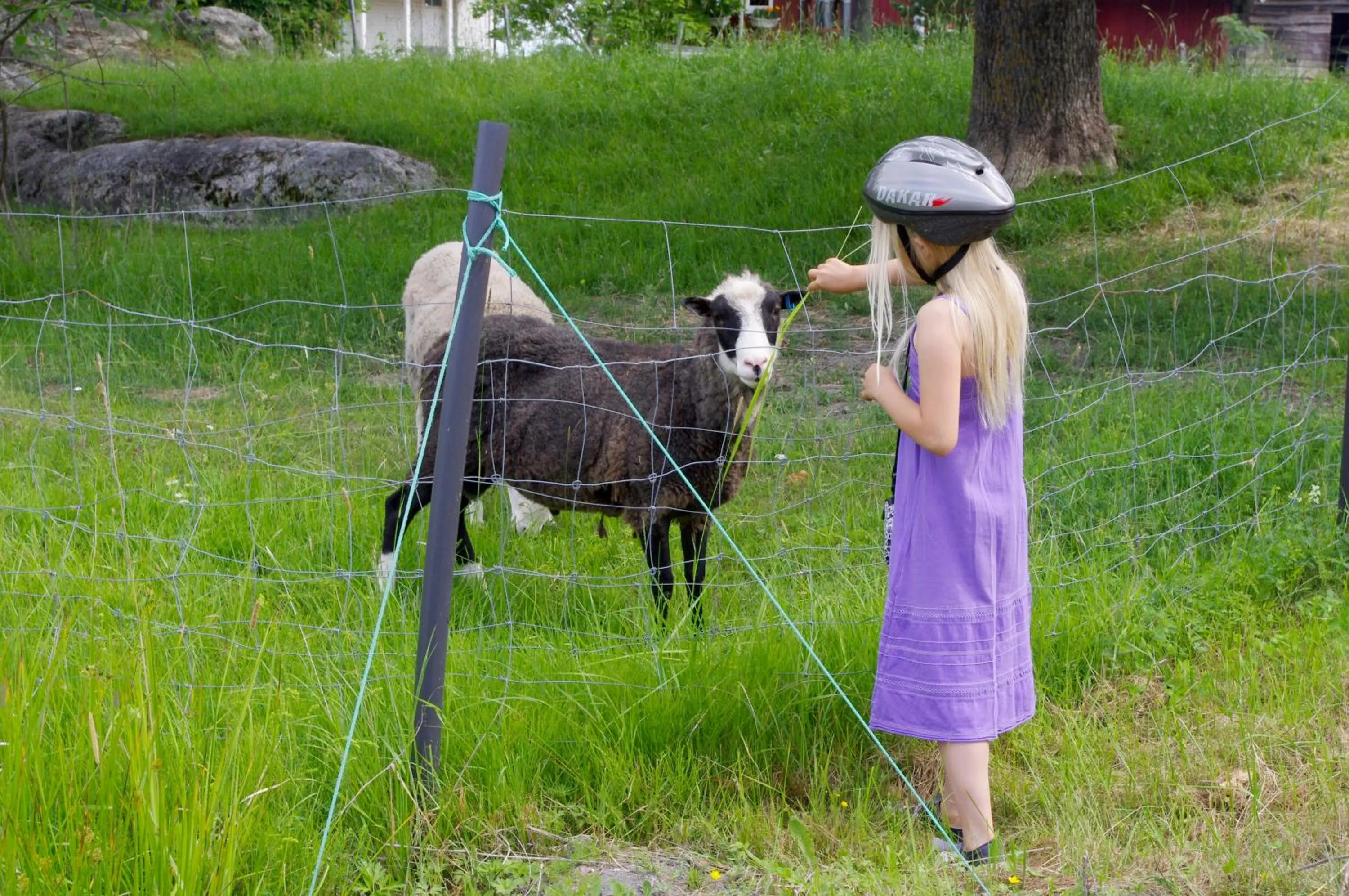 Off site in Villa Högbo