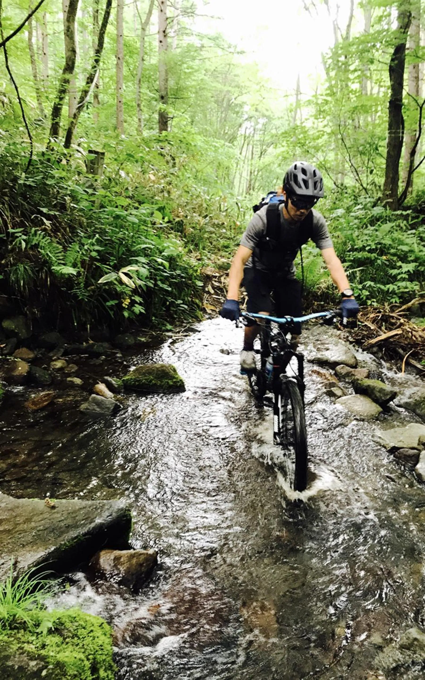 Natural landscape in Nozawa View Hotel Shimataya