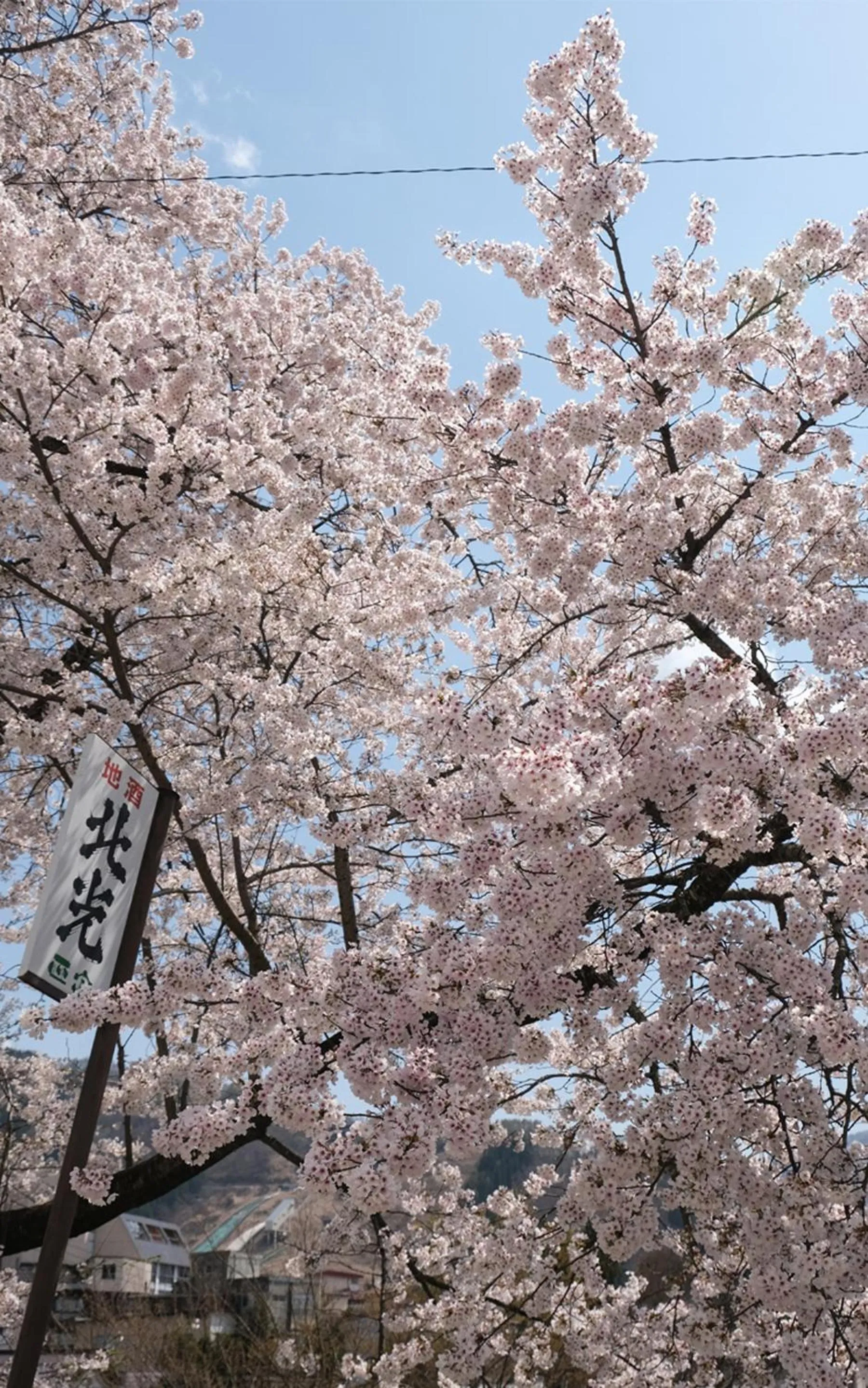 Spring in Nozawa View Hotel Shimataya