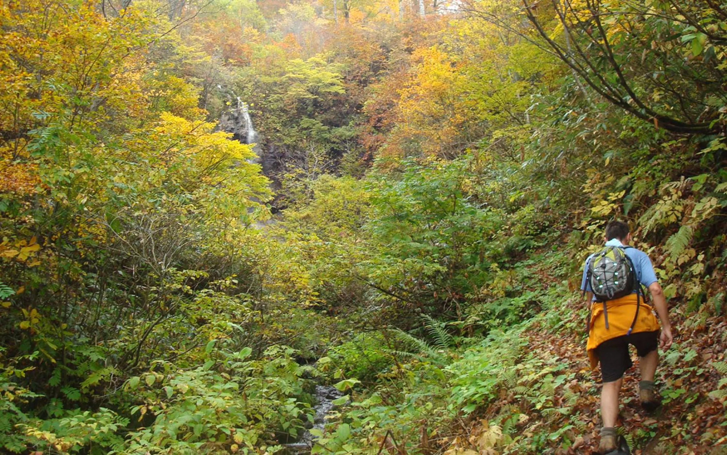 Natural landscape in Nozawa View Hotel Shimataya