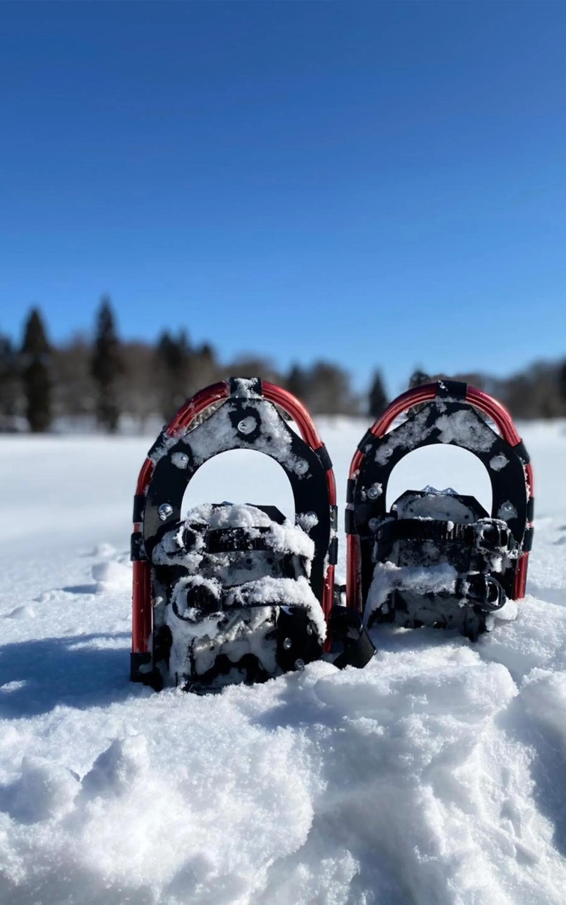 Activities in Nozawa View Hotel Shimataya