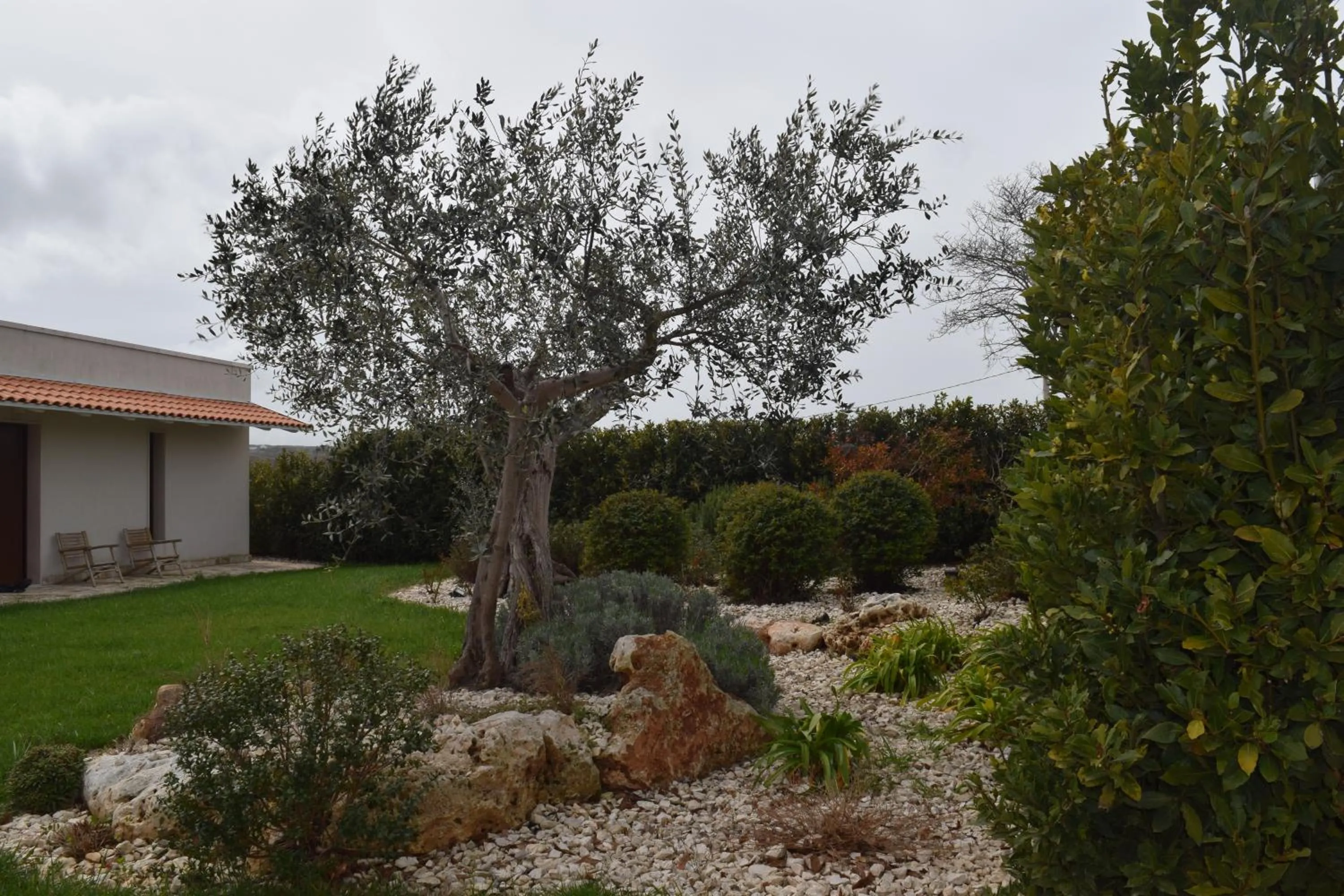 Garden view in Masseria Corte Masseriola