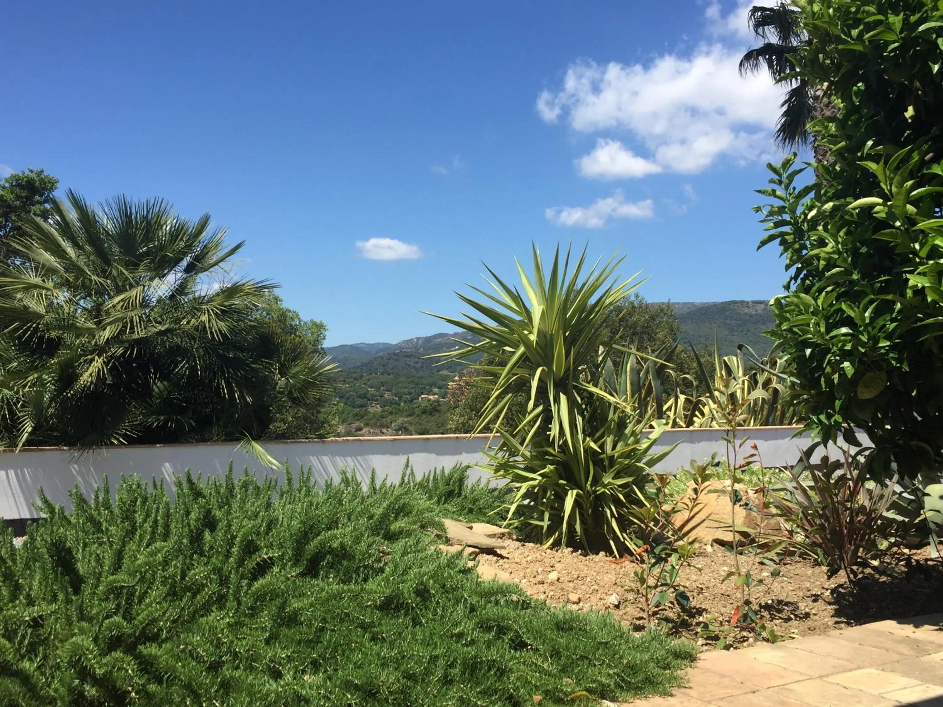 Garden in Les Aurochs