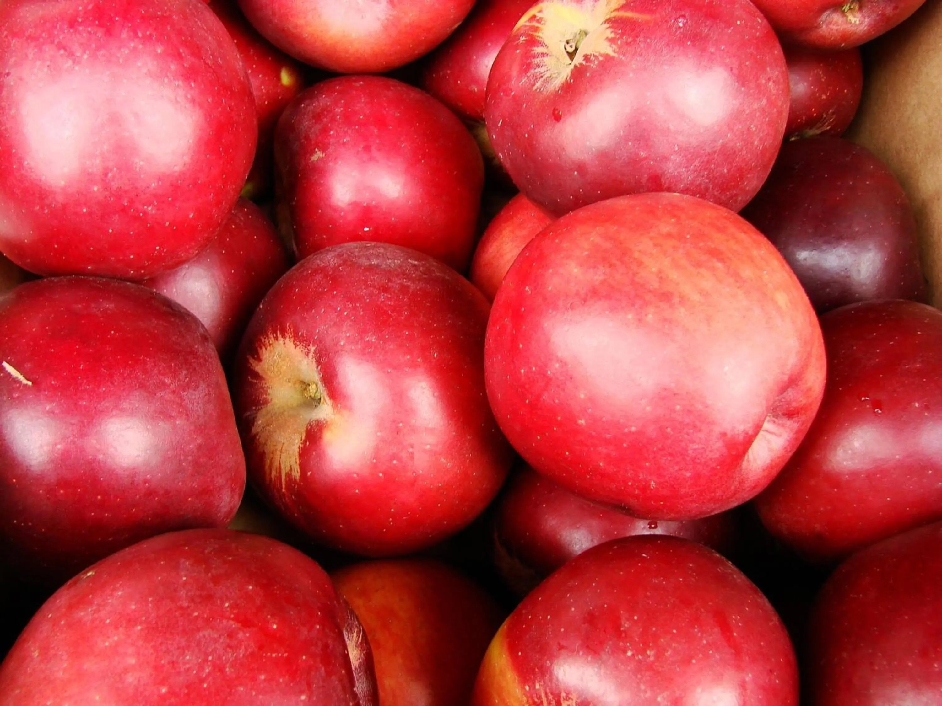 Nearby landmark in Holiday Inn Express Hotel & Suites El Dorado Hills by IHG