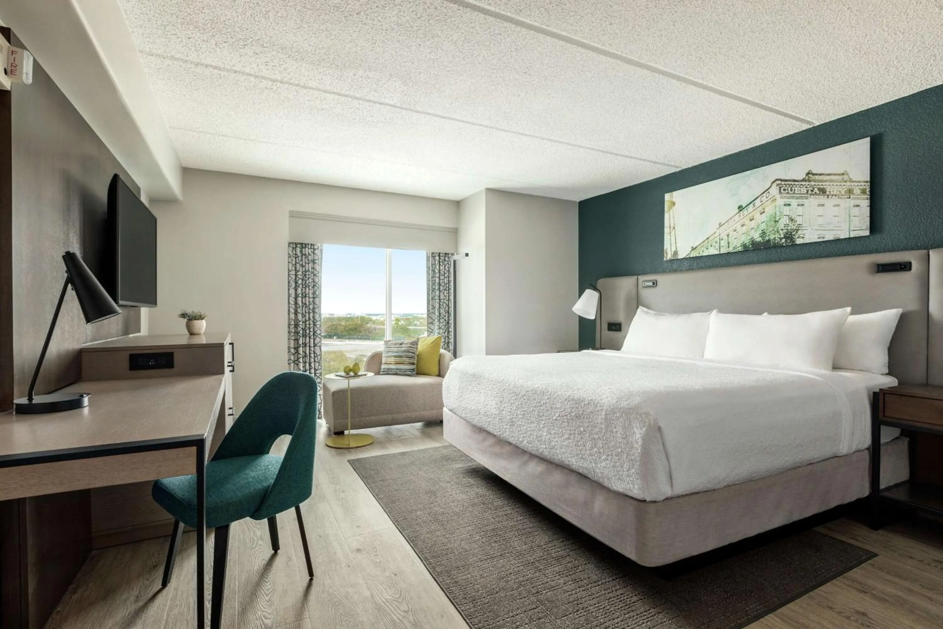 Bedroom, Bed in Hotel Alba Tampa, Tapestry Collection By Hilton