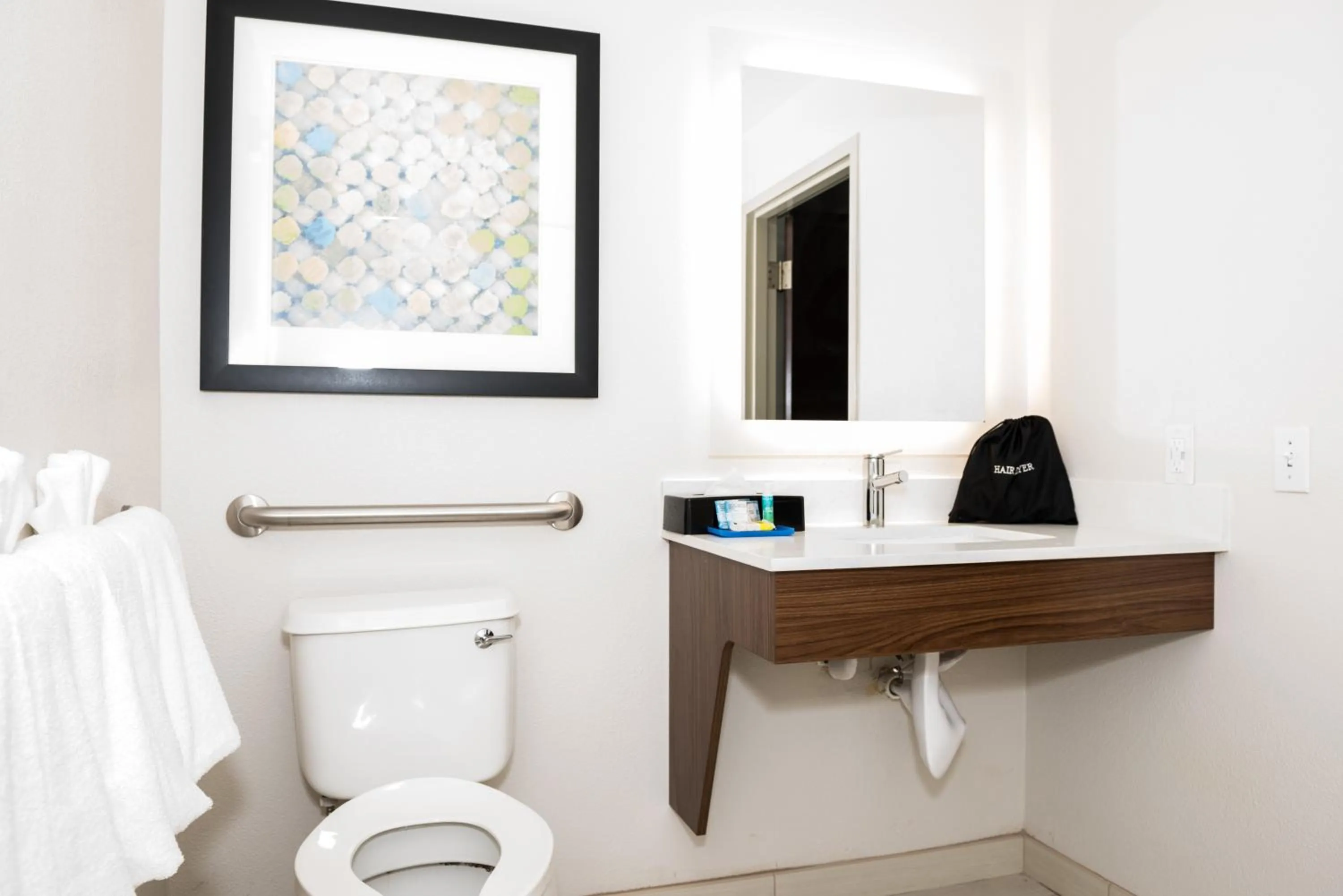 Bathroom in Holiday Inn Express Hotel & Suites Tampa-USF-Busch Gardens by IHG