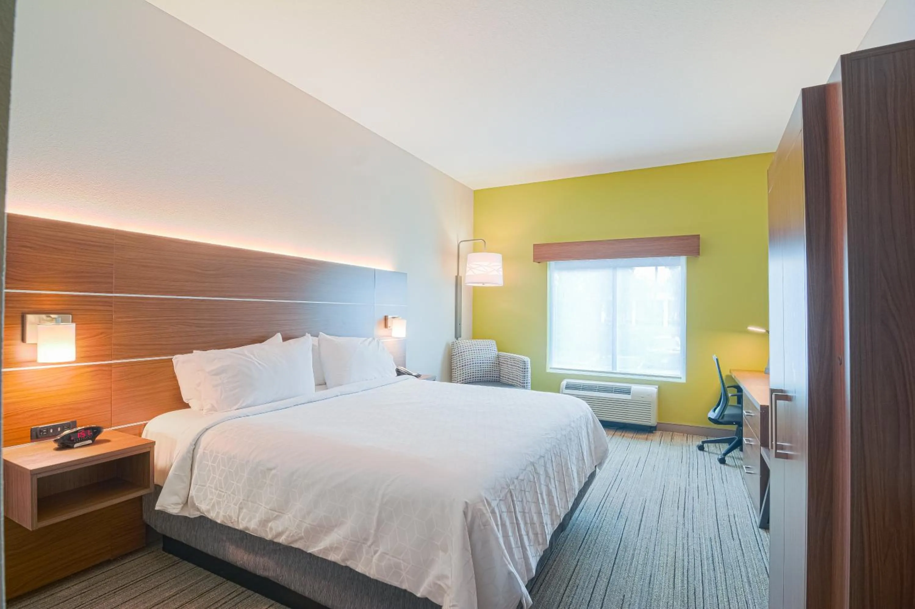 Photo of the whole room, Bed in Holiday Inn Express Hotel & Suites Tampa-USF-Busch Gardens by IHG