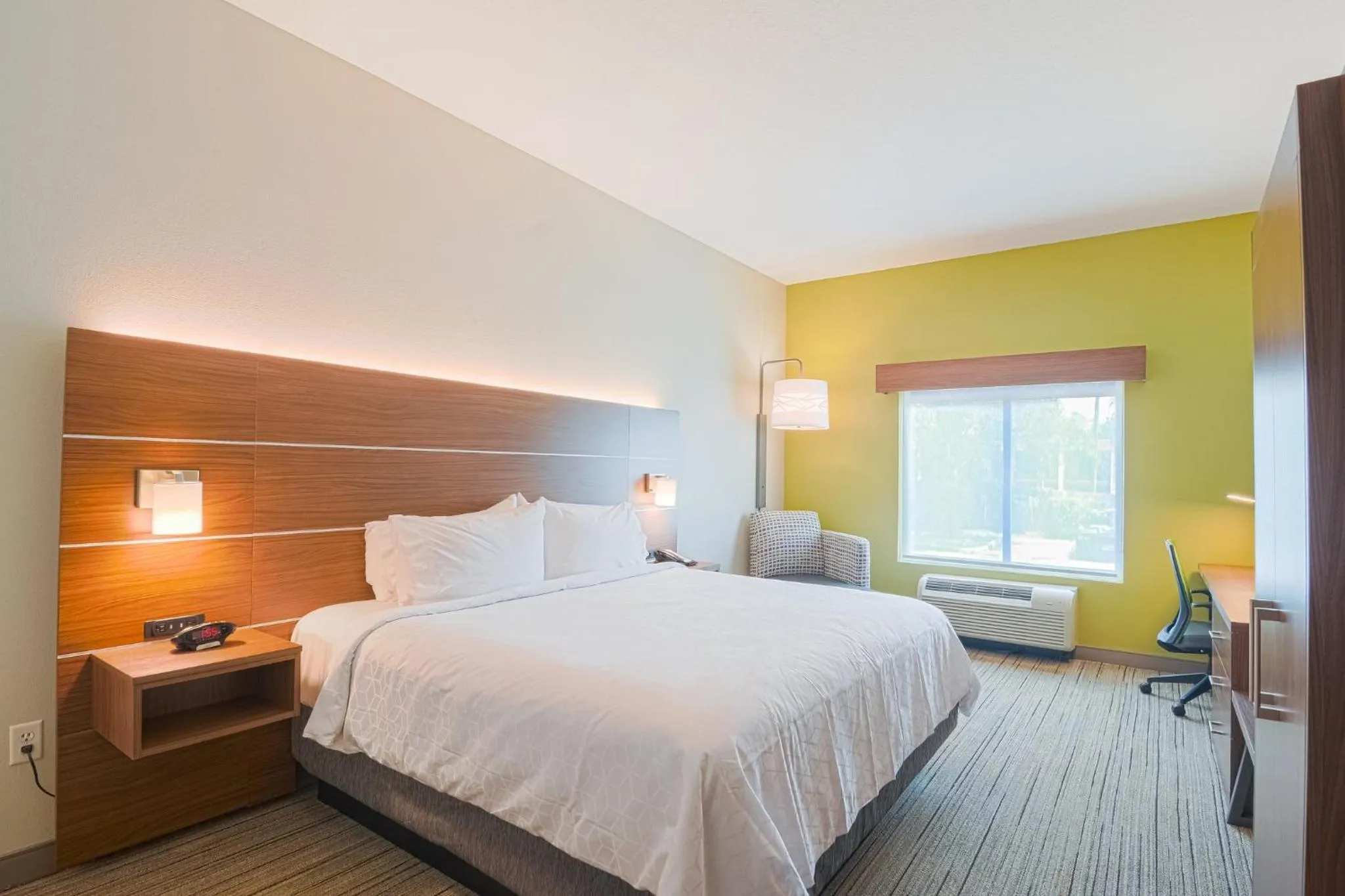 Photo of the whole room, Bed in Holiday Inn Express Hotel & Suites Tampa-USF-Busch Gardens by IHG