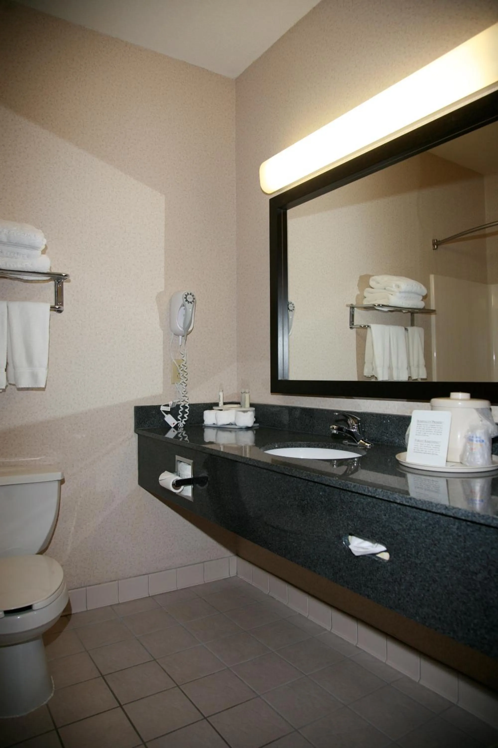 Bathroom in Holiday Inn Express Fort Wayne - East - New Haven by IHG