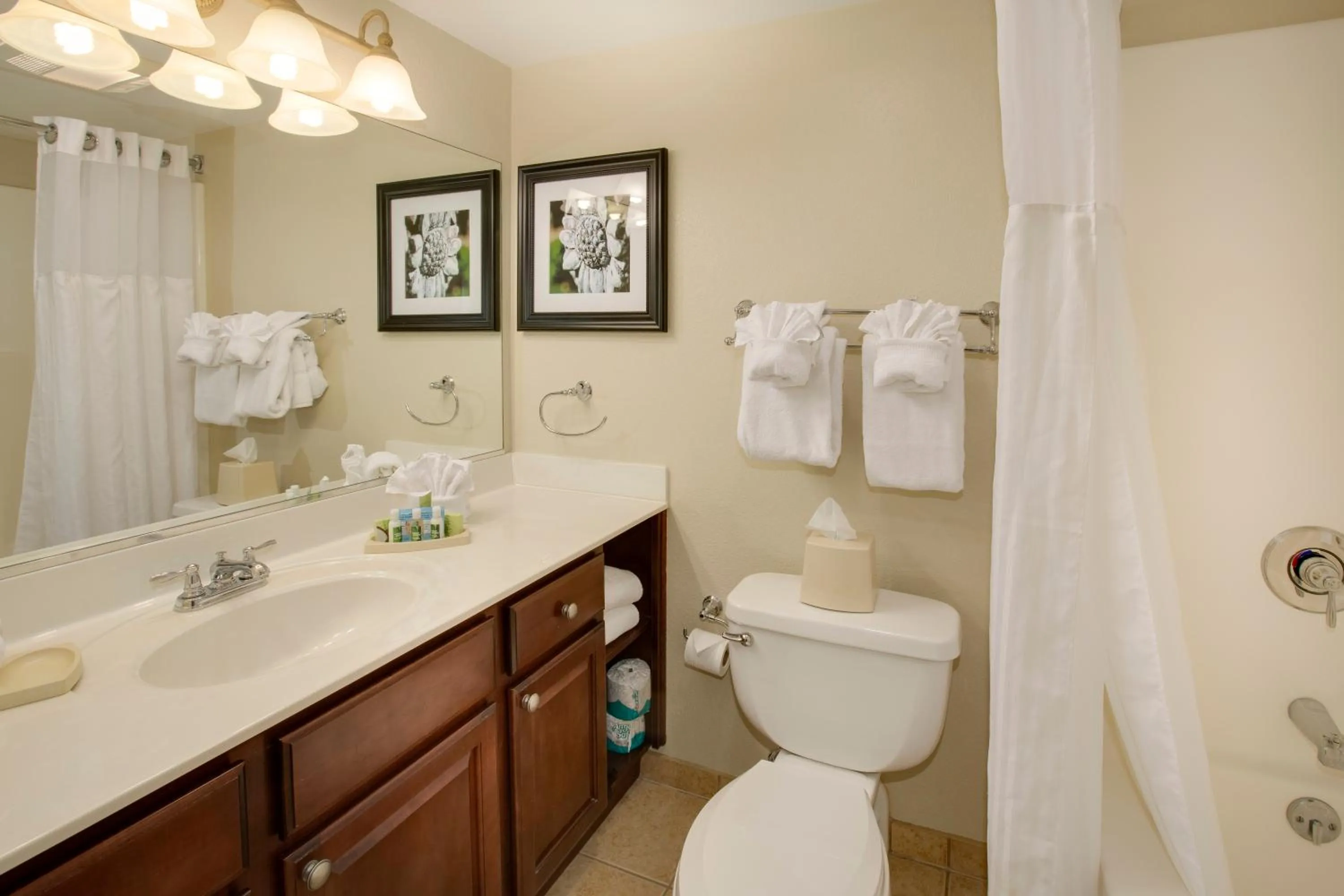 Bathroom in Bluegreen Vacations Patrick Henry Square, an Ascend Collection Resort