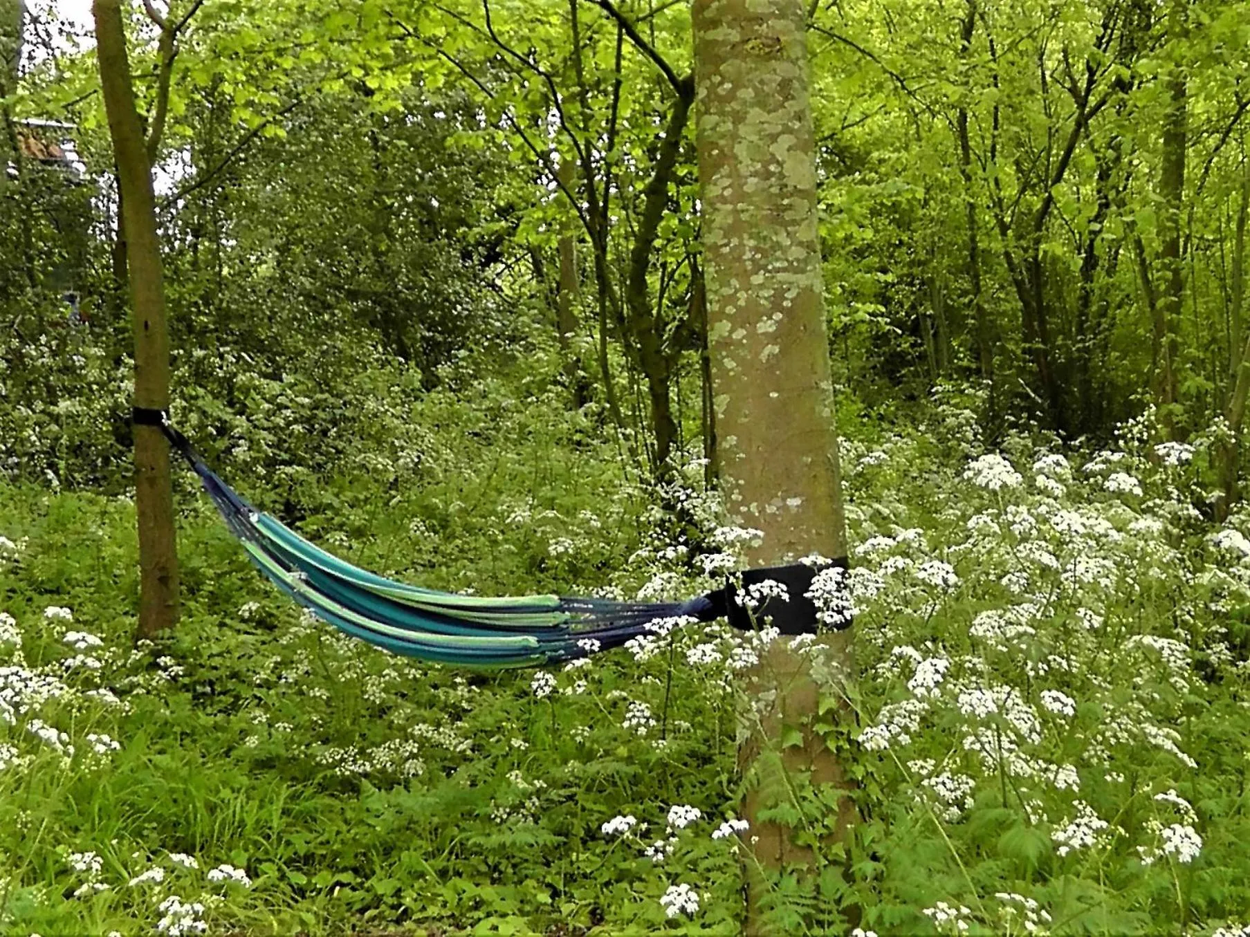 Natural landscape in Au2 Maison d'Hôtes - Guest House Au2