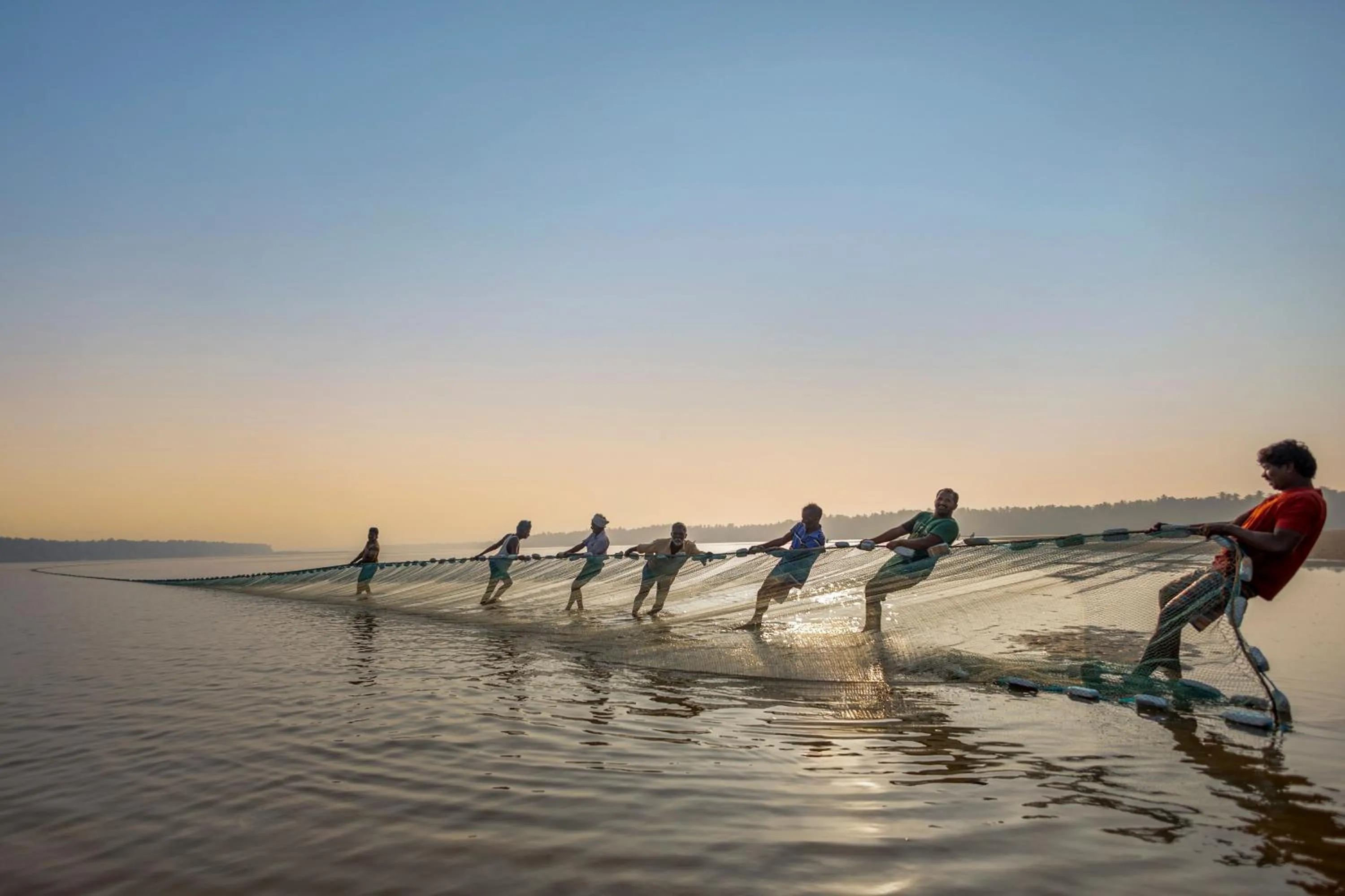 People in Sterling Palavelli Godavari