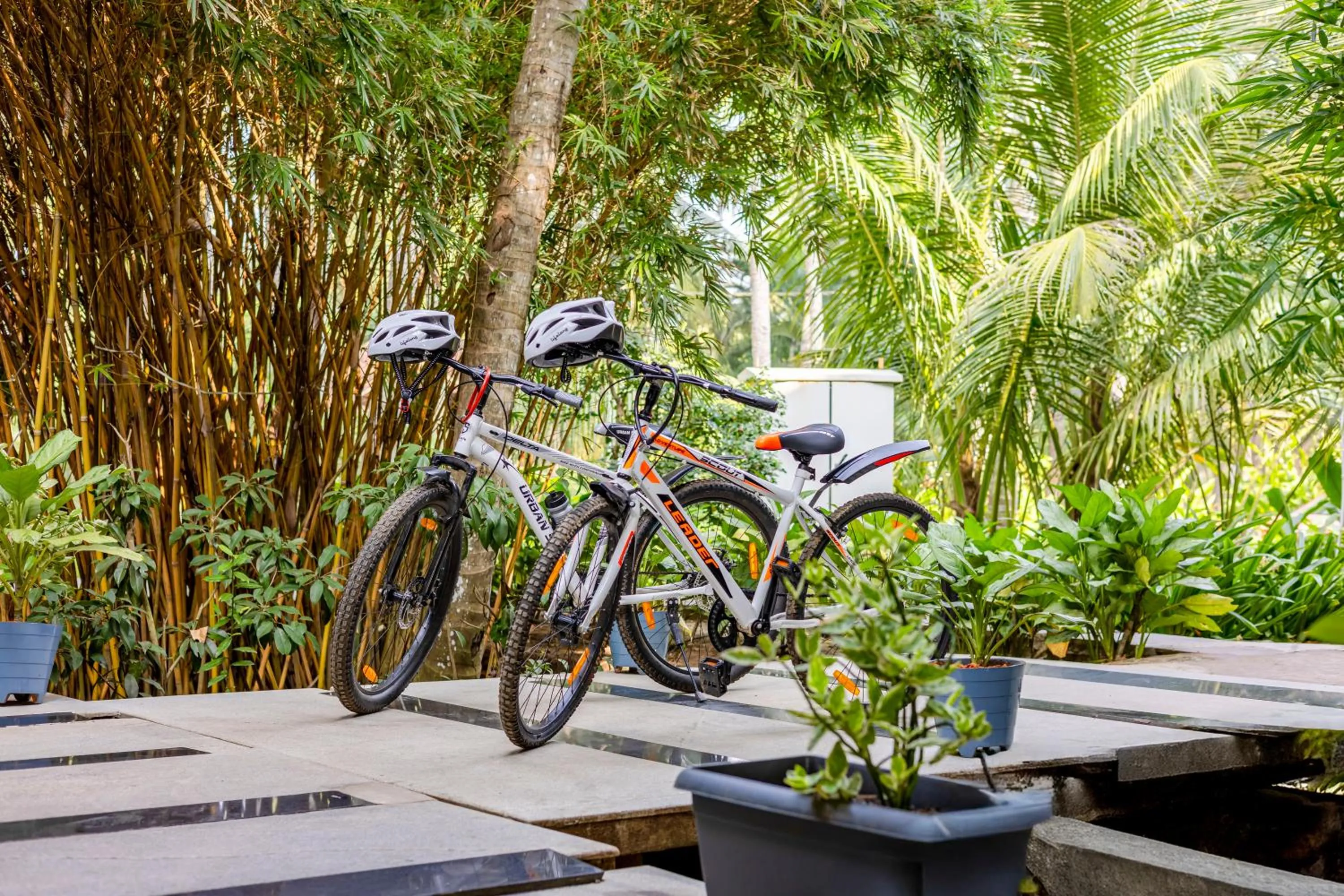 Cycling in Sterling Palavelli Godavari