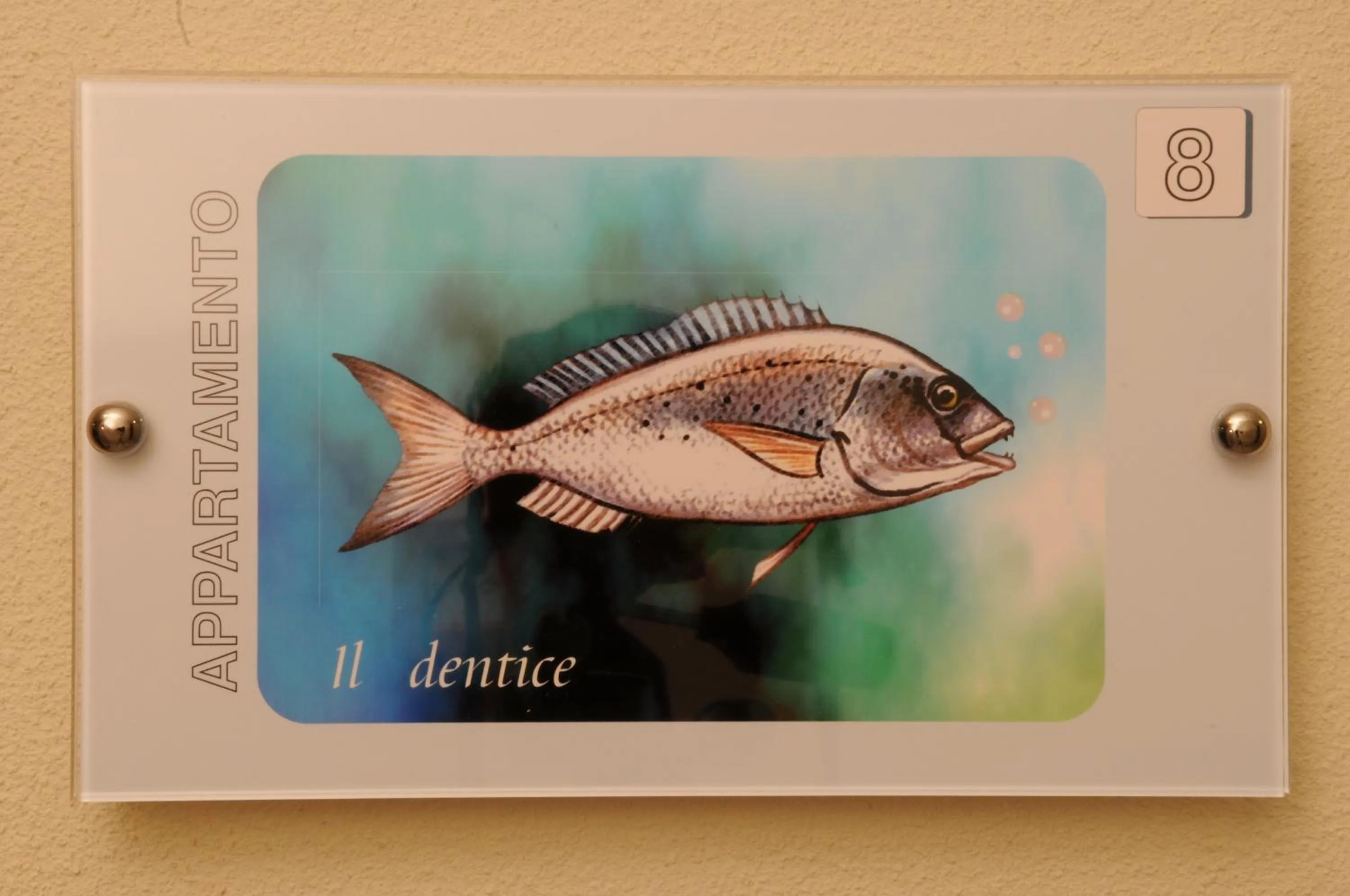 Logo/Certificate/Sign in Residence Belmare