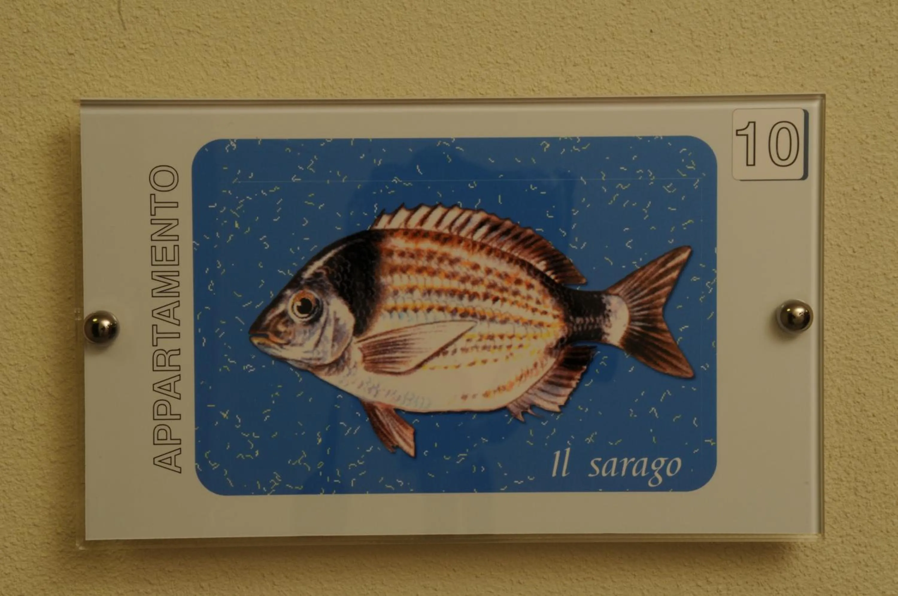 Other in Residence Belmare