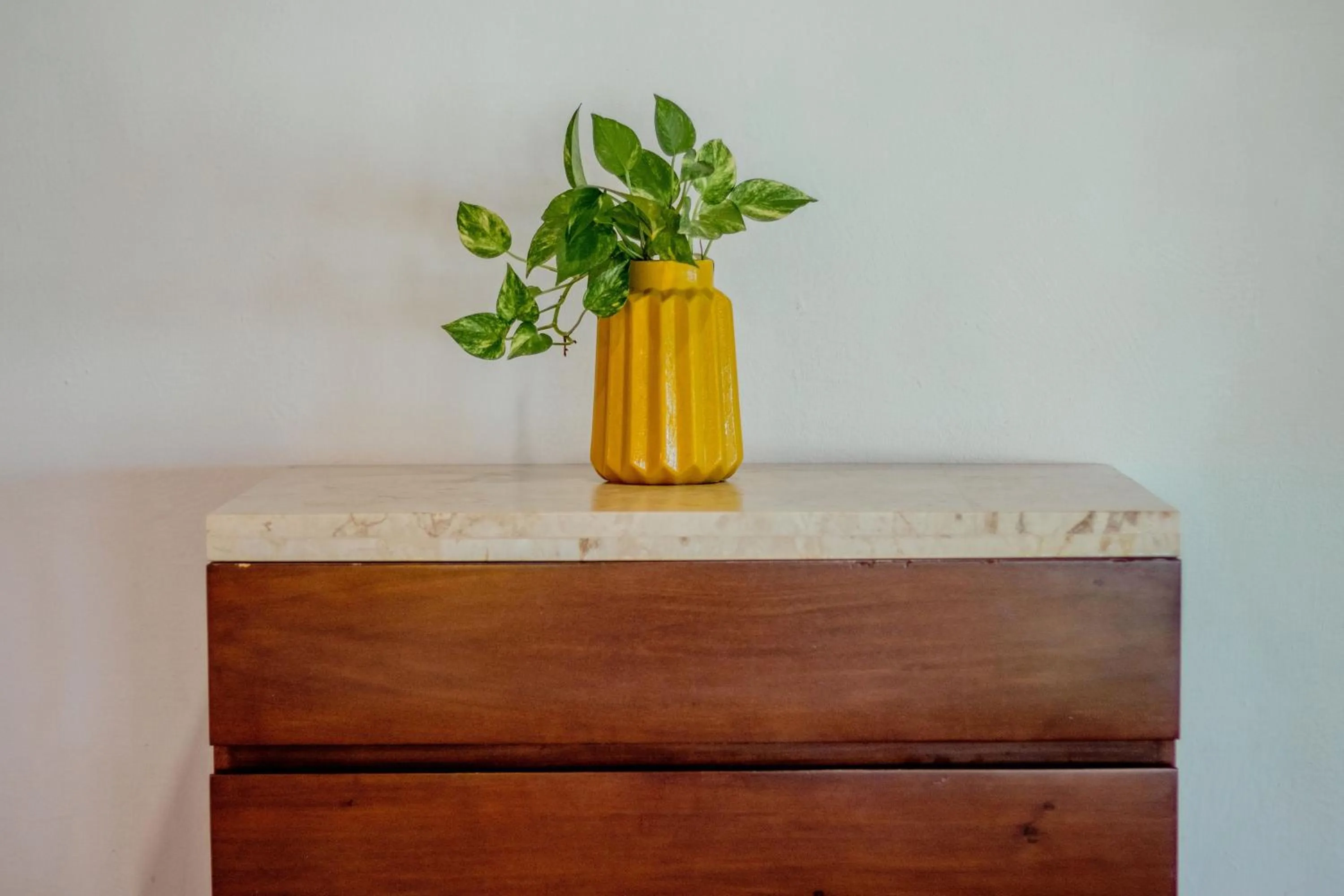 Decorative detail in Hotel Las Nubes Holbox