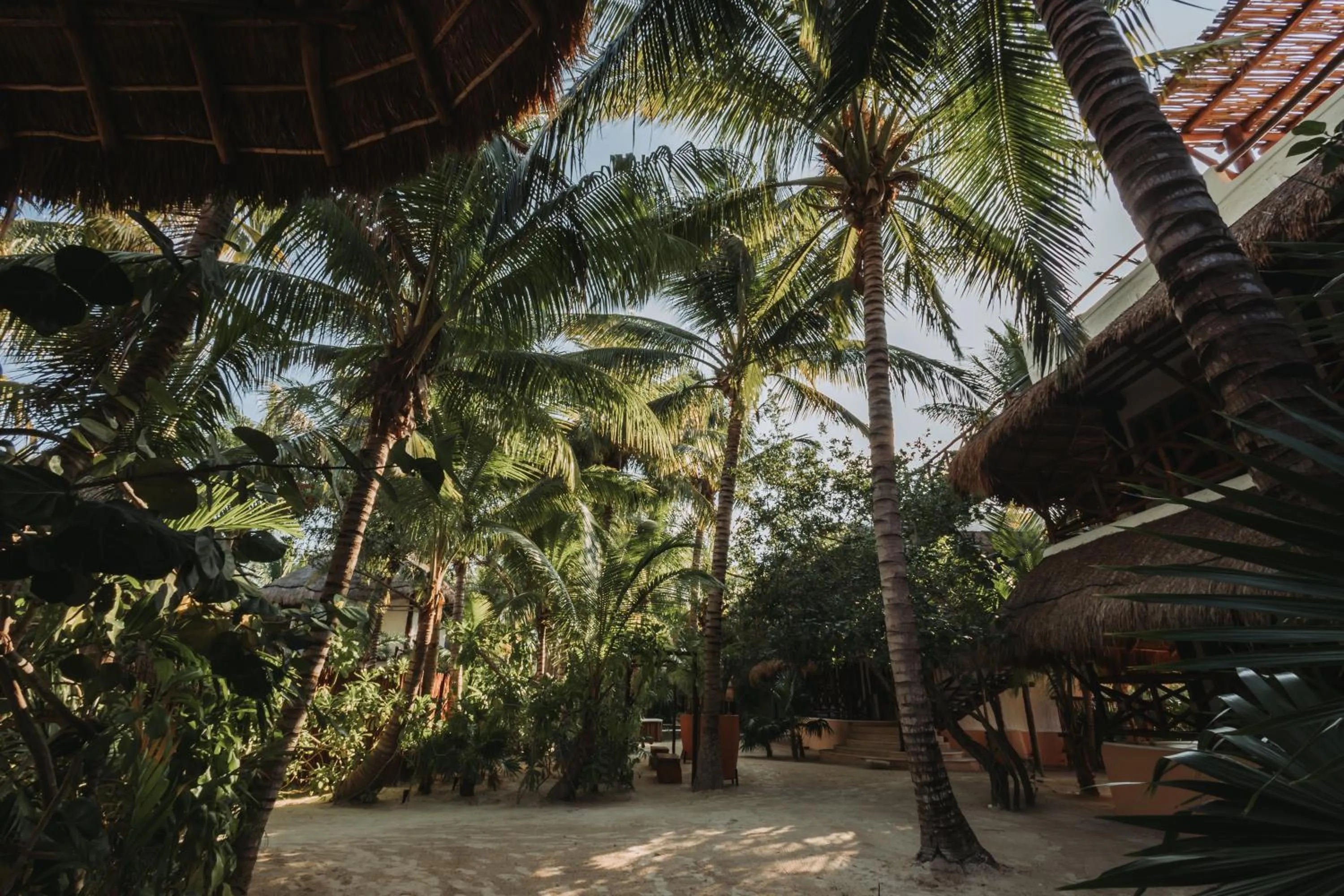 Decorative detail in Hotel Las Nubes Holbox