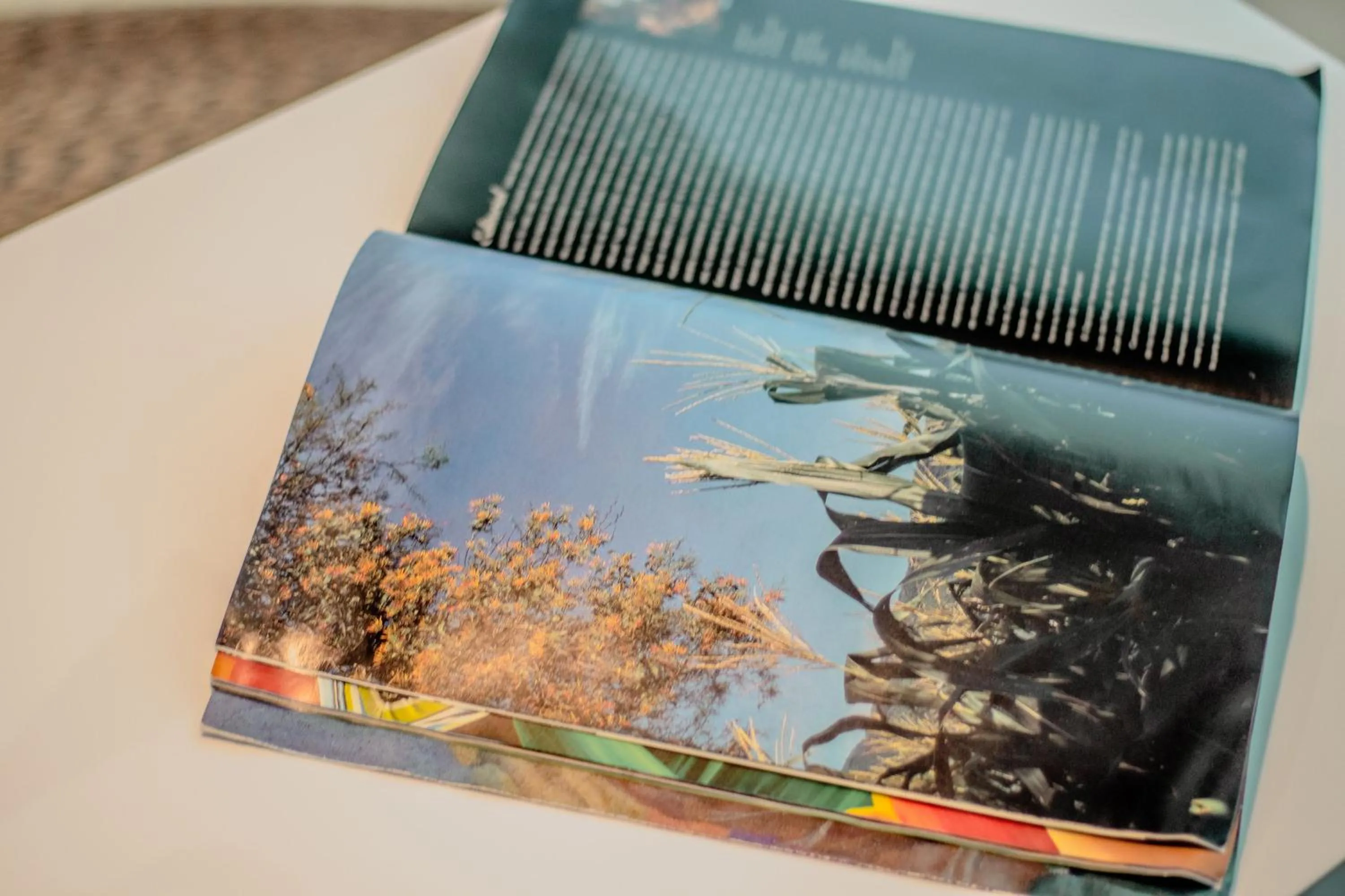 Day in Hotel Las Nubes Holbox