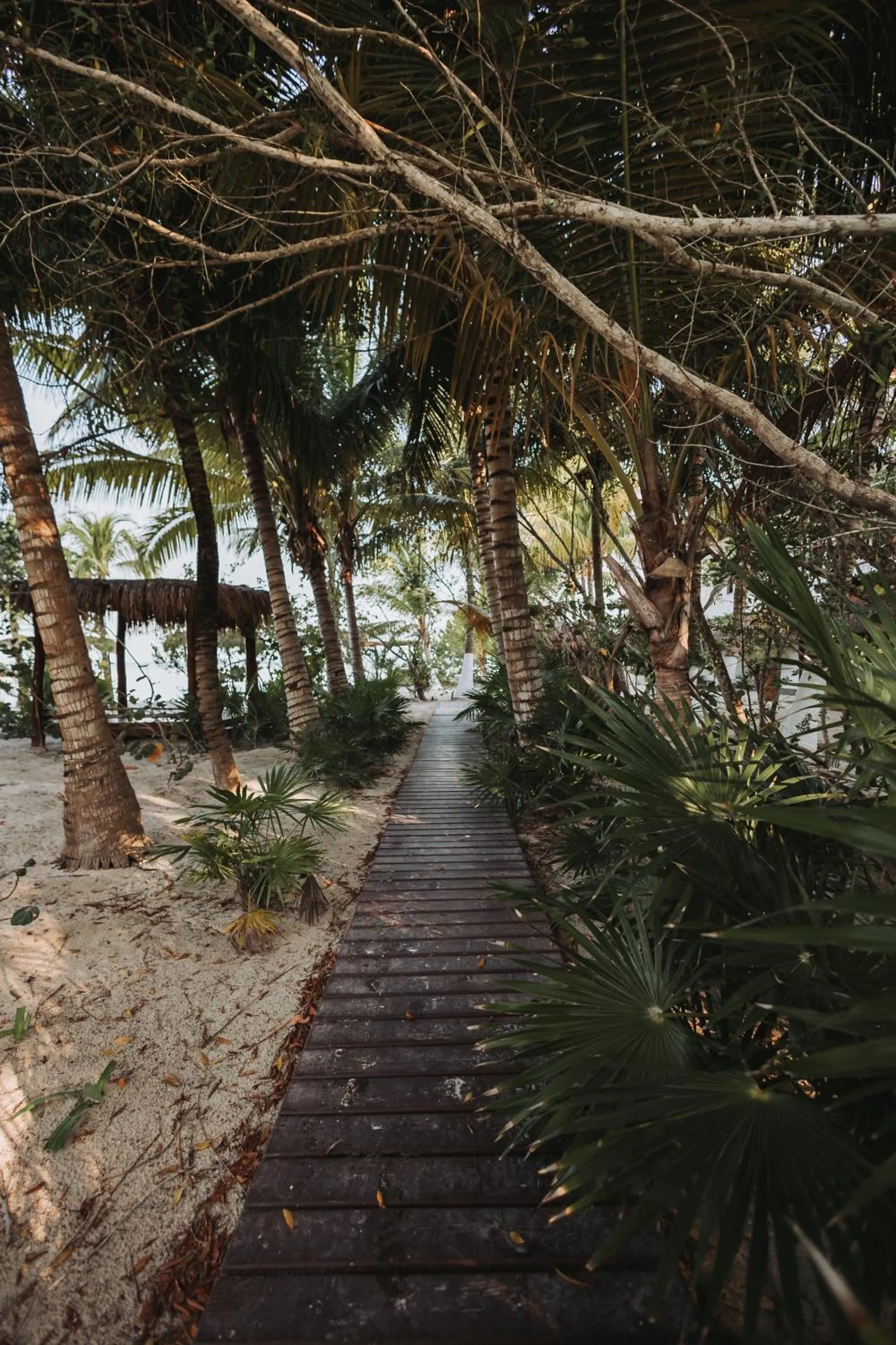 Decorative detail in Hotel Las Nubes Holbox