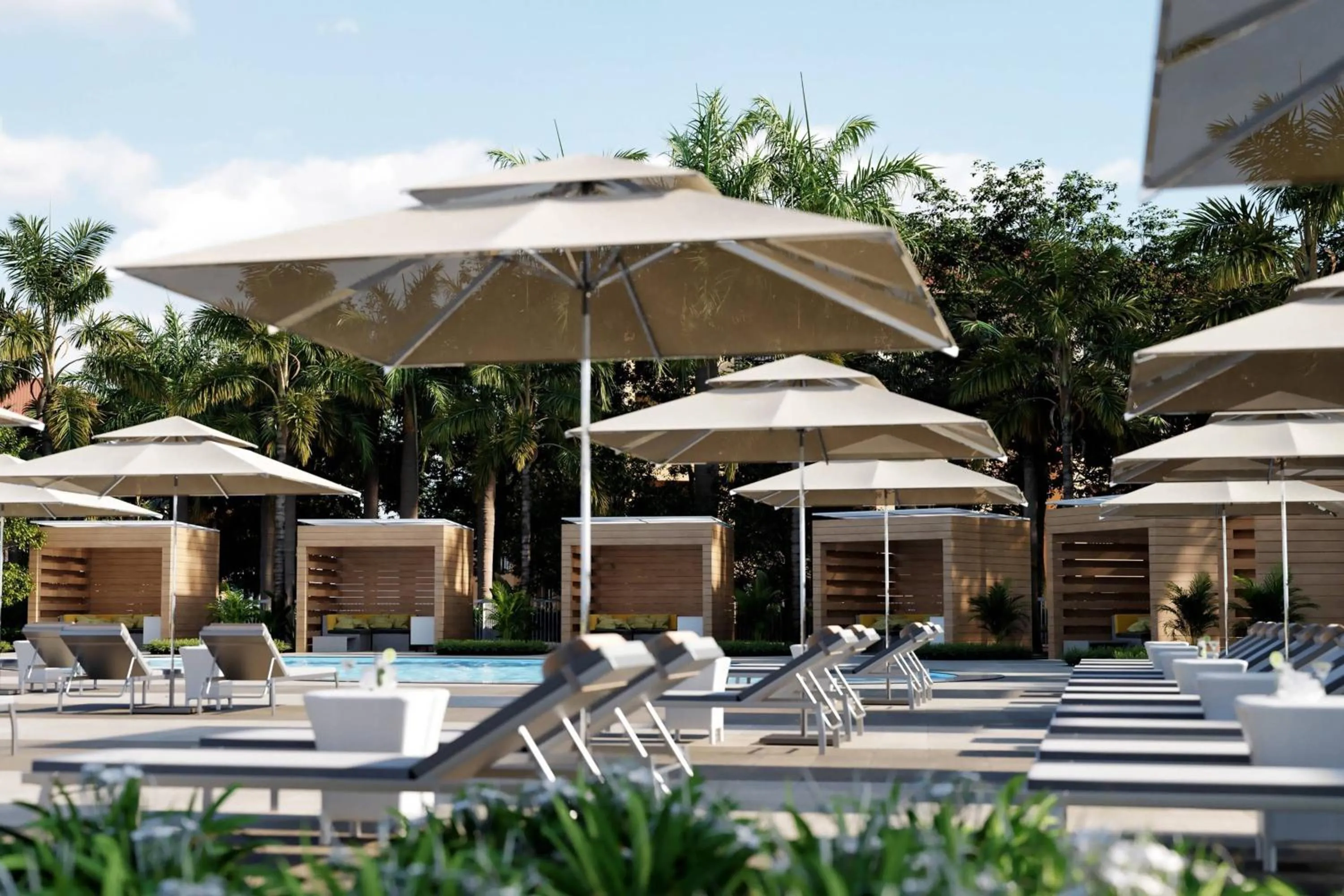 Swimming pool in The Ritz-Carlton Naples, Tiburon