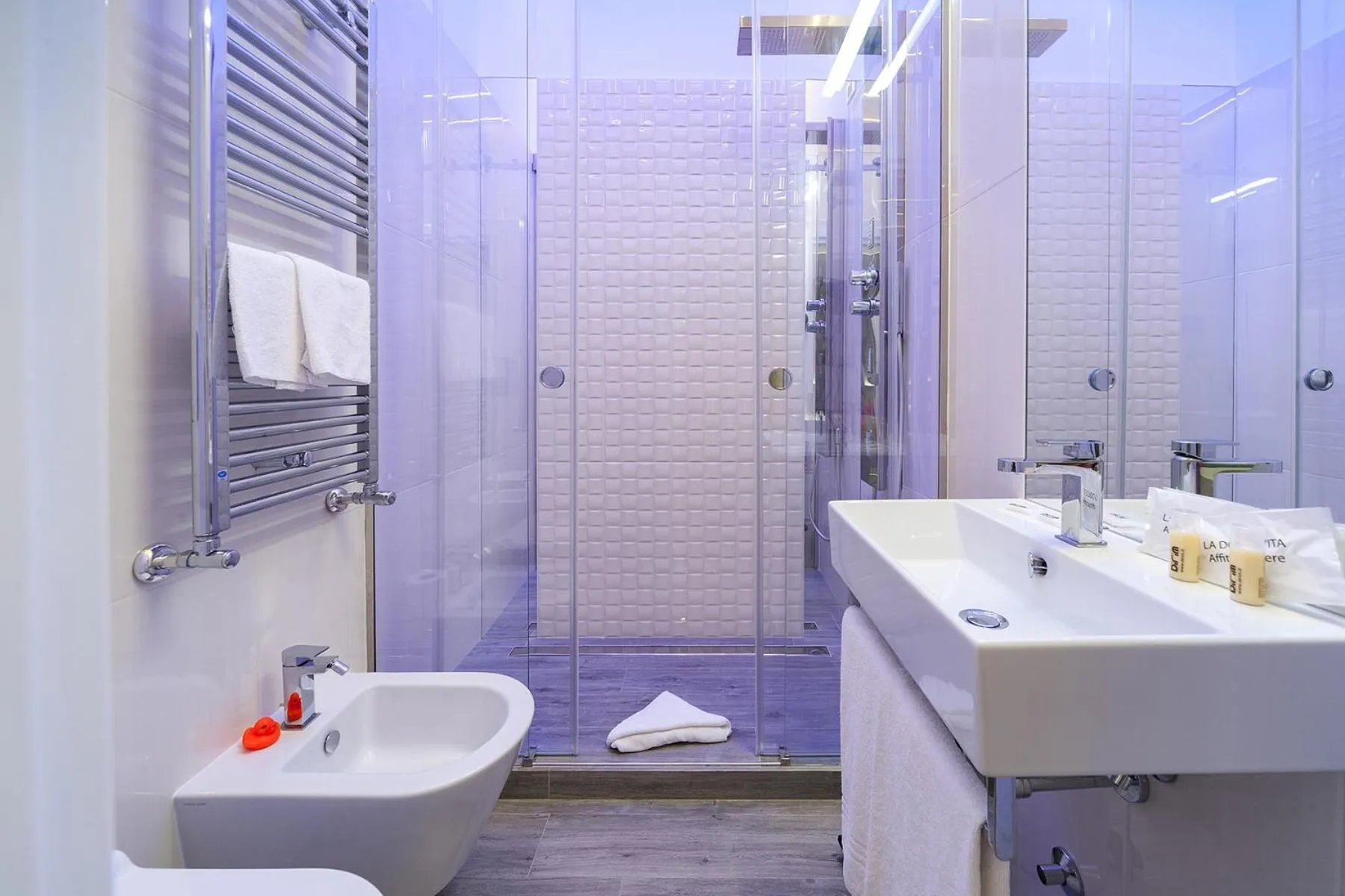 Shower in Guesthouse Pop