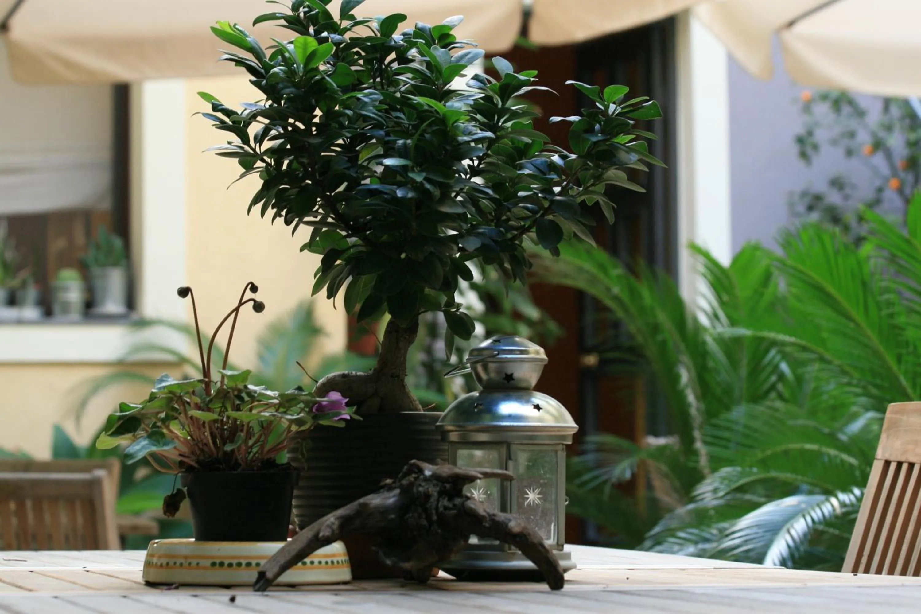 Garden in Casa Barbero Charme B&B