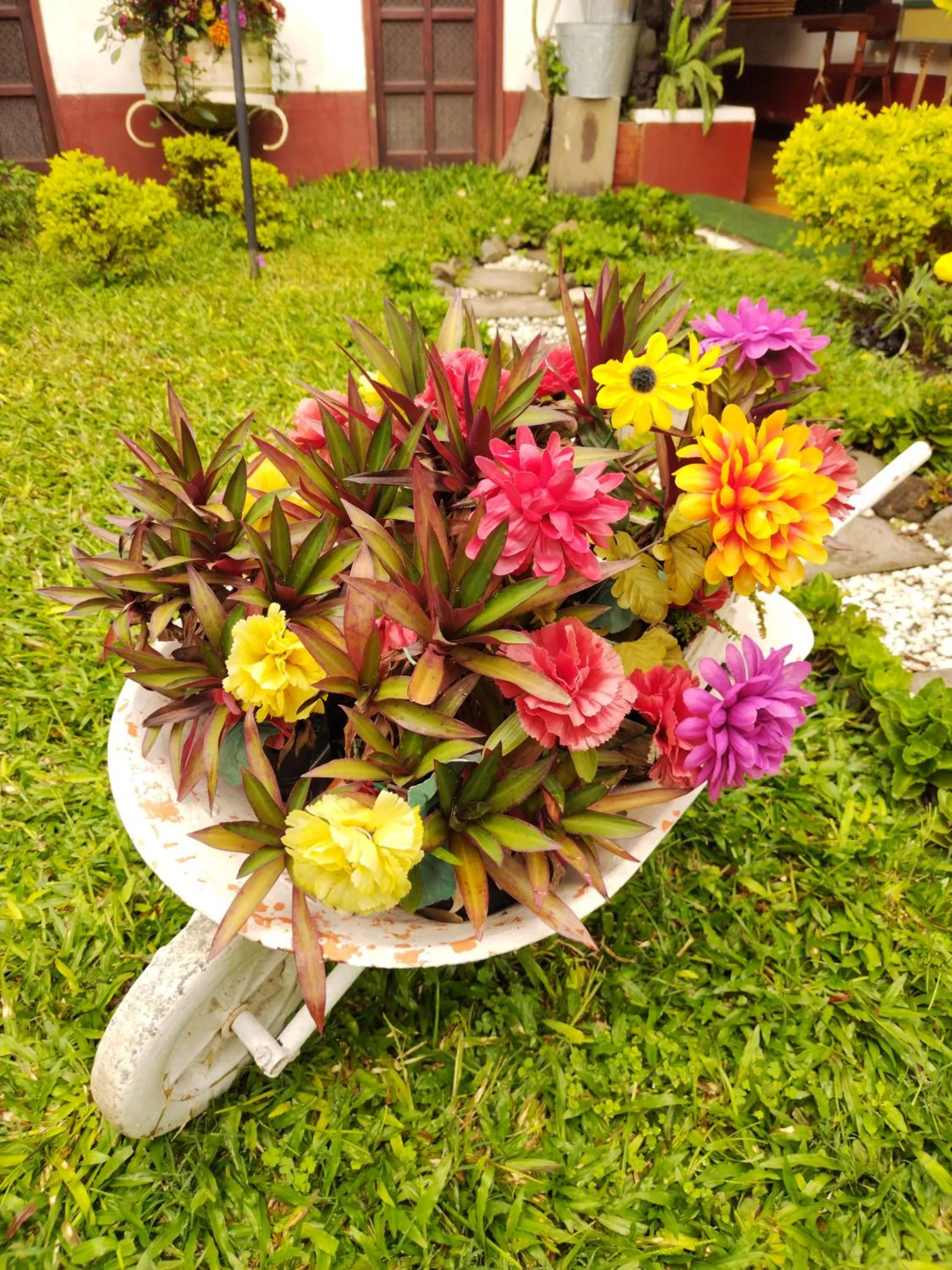 Garden in Hotel Casa Chapultepec