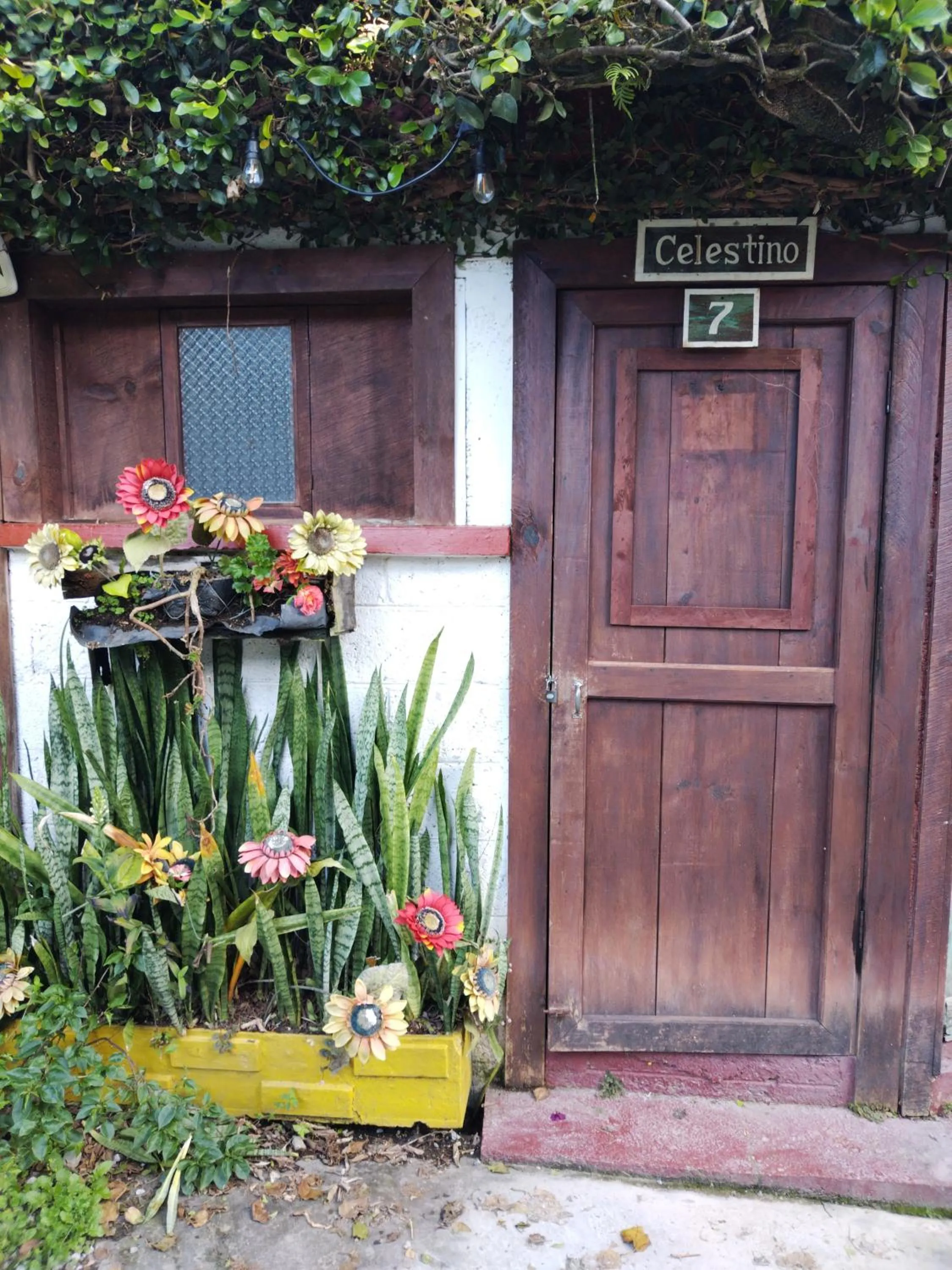 Photo of the whole room in Hotel Casa Chapultepec