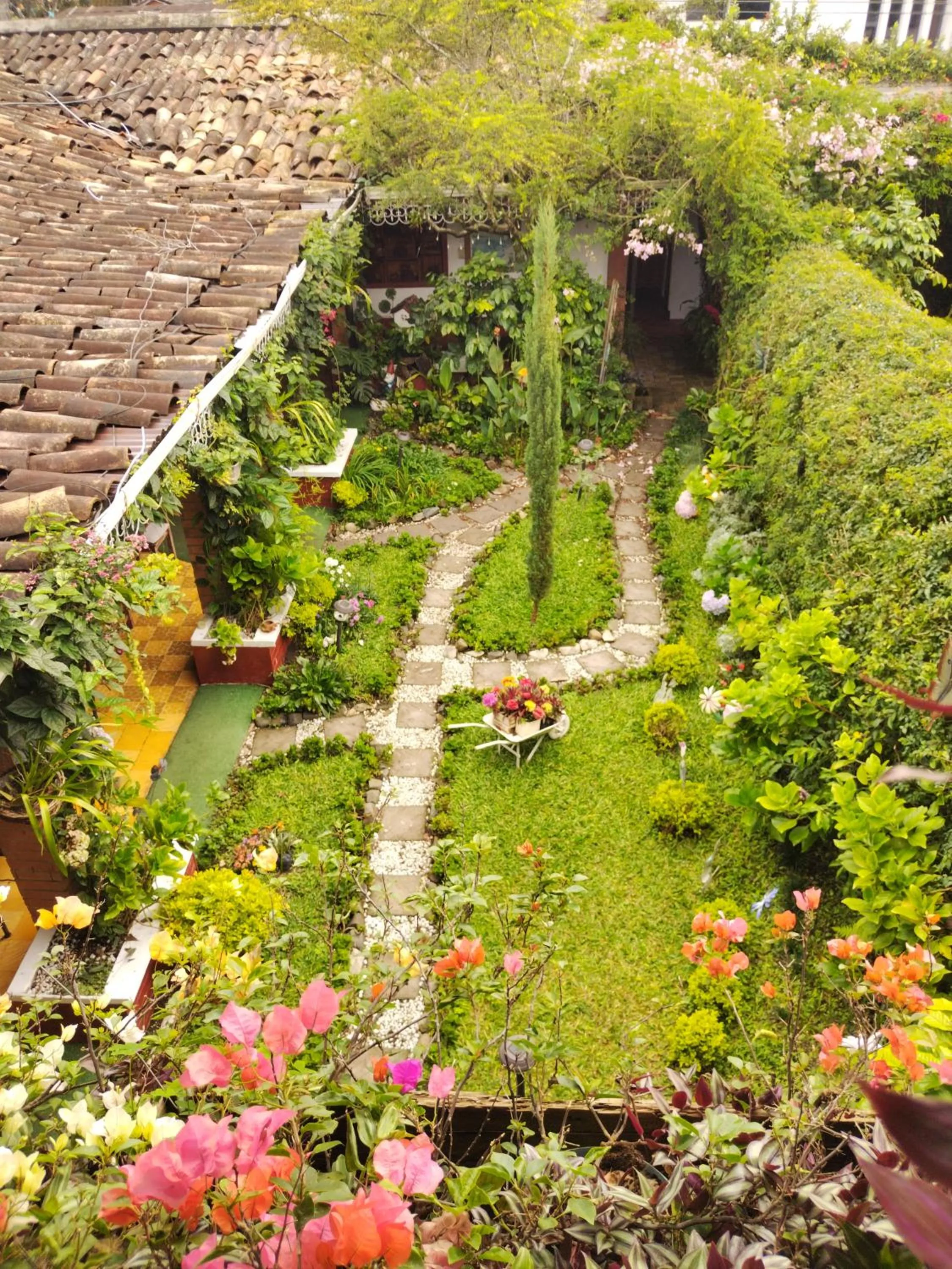 Garden view in Hotel Casa Chapultepec