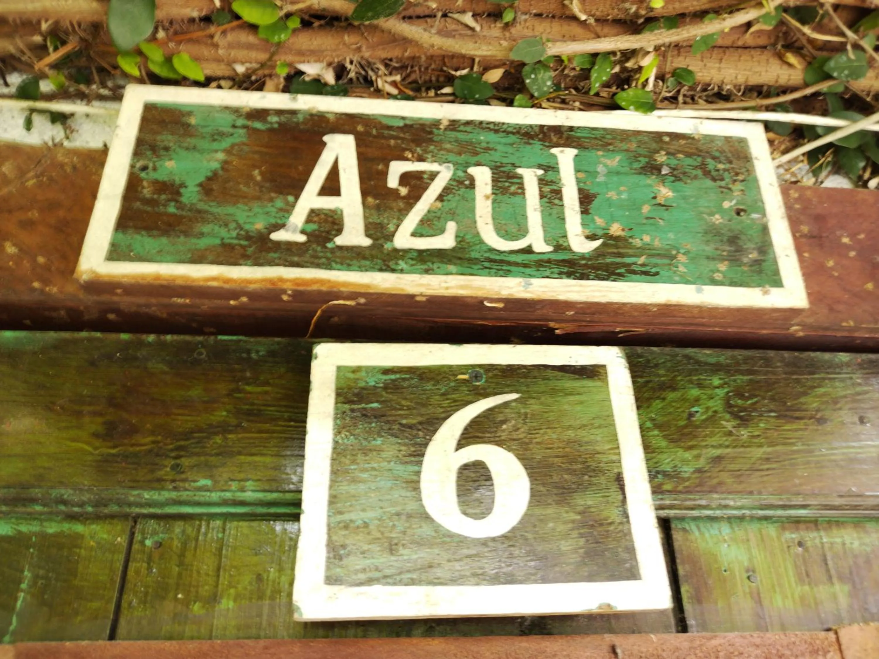 Text overlay in Hotel Casa Chapultepec