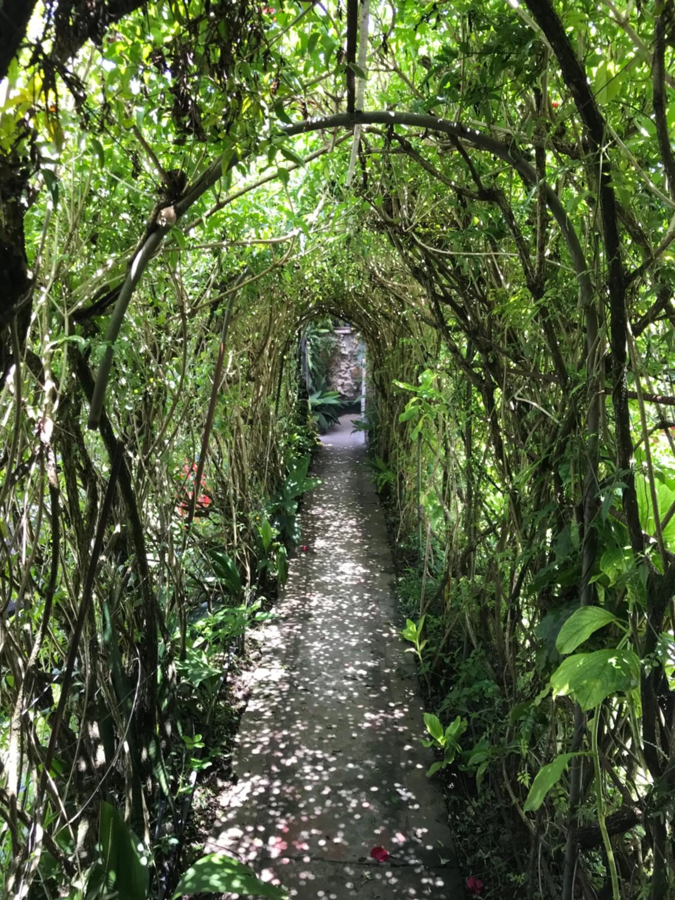 Patio in Hotel Casa Chapultepec