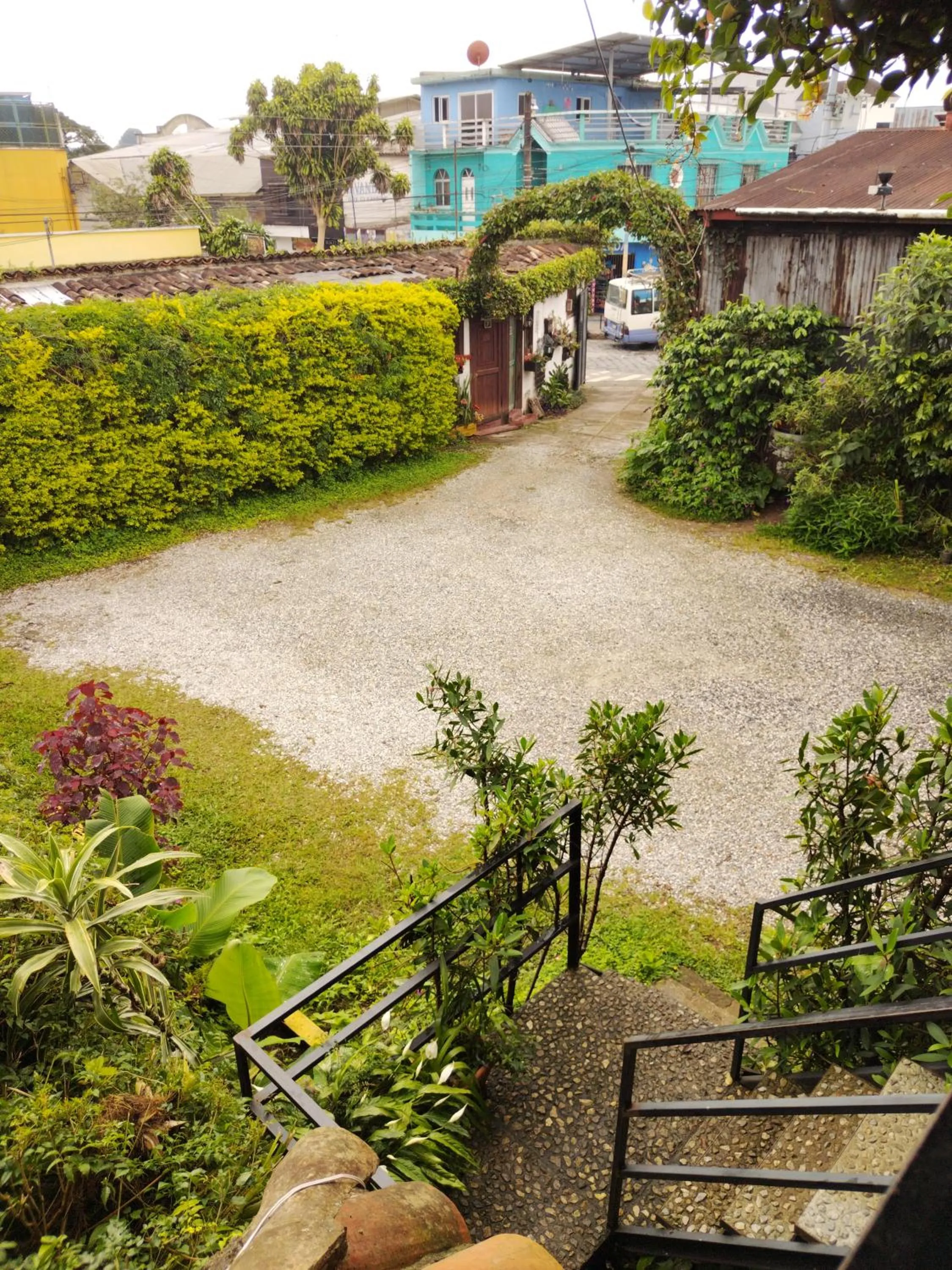 Natural landscape in Hotel Casa Chapultepec