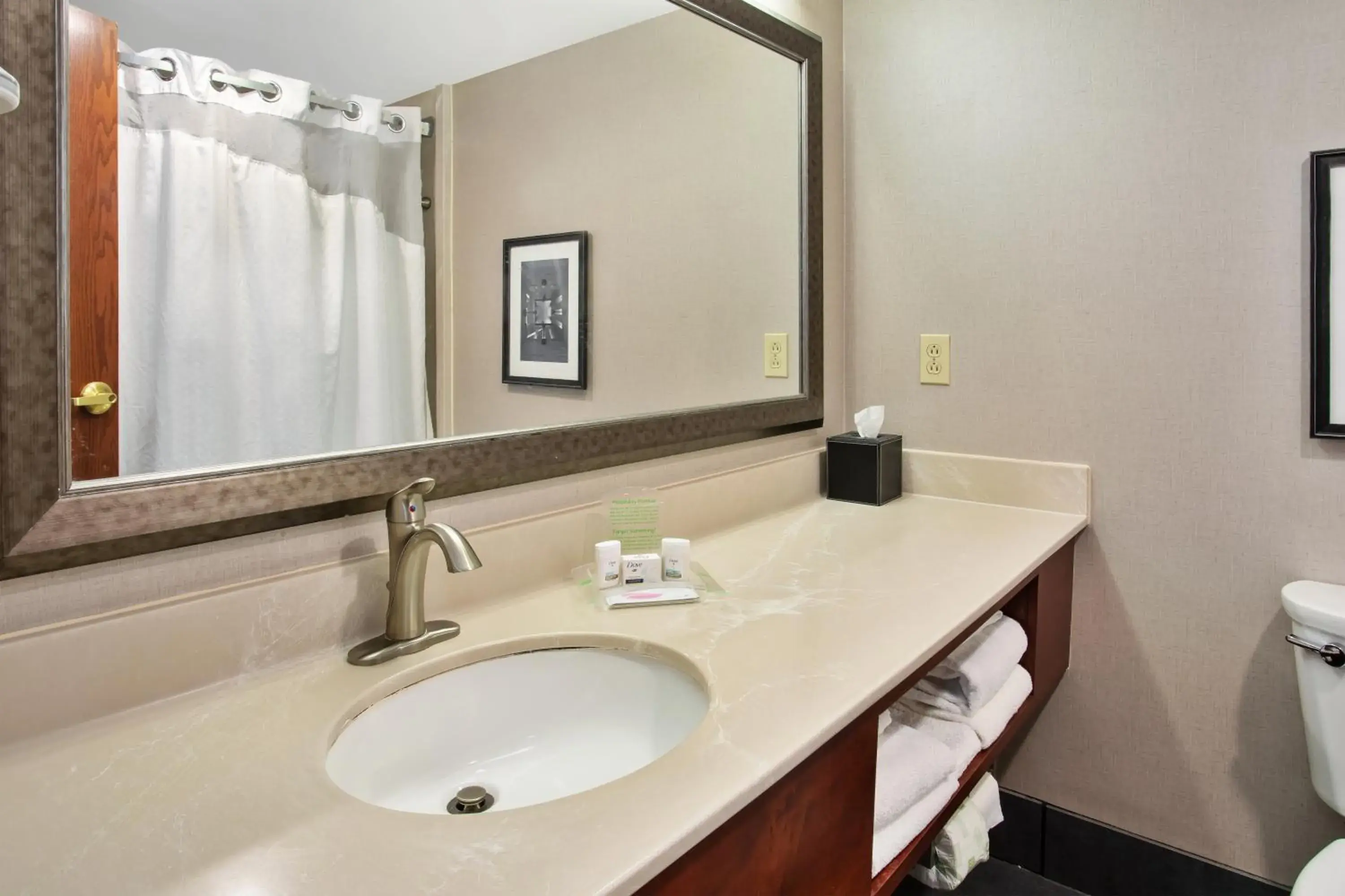 Deluxe King Room with Mobility Accessible Tub - Non-Smoking in Holiday Inn University Plaza-Bowling Green by IHG Deluxe King Room with Mobility Accessible Tub - Non-Smoking in Holiday Inn University Plaza-Bowling Green by IHG