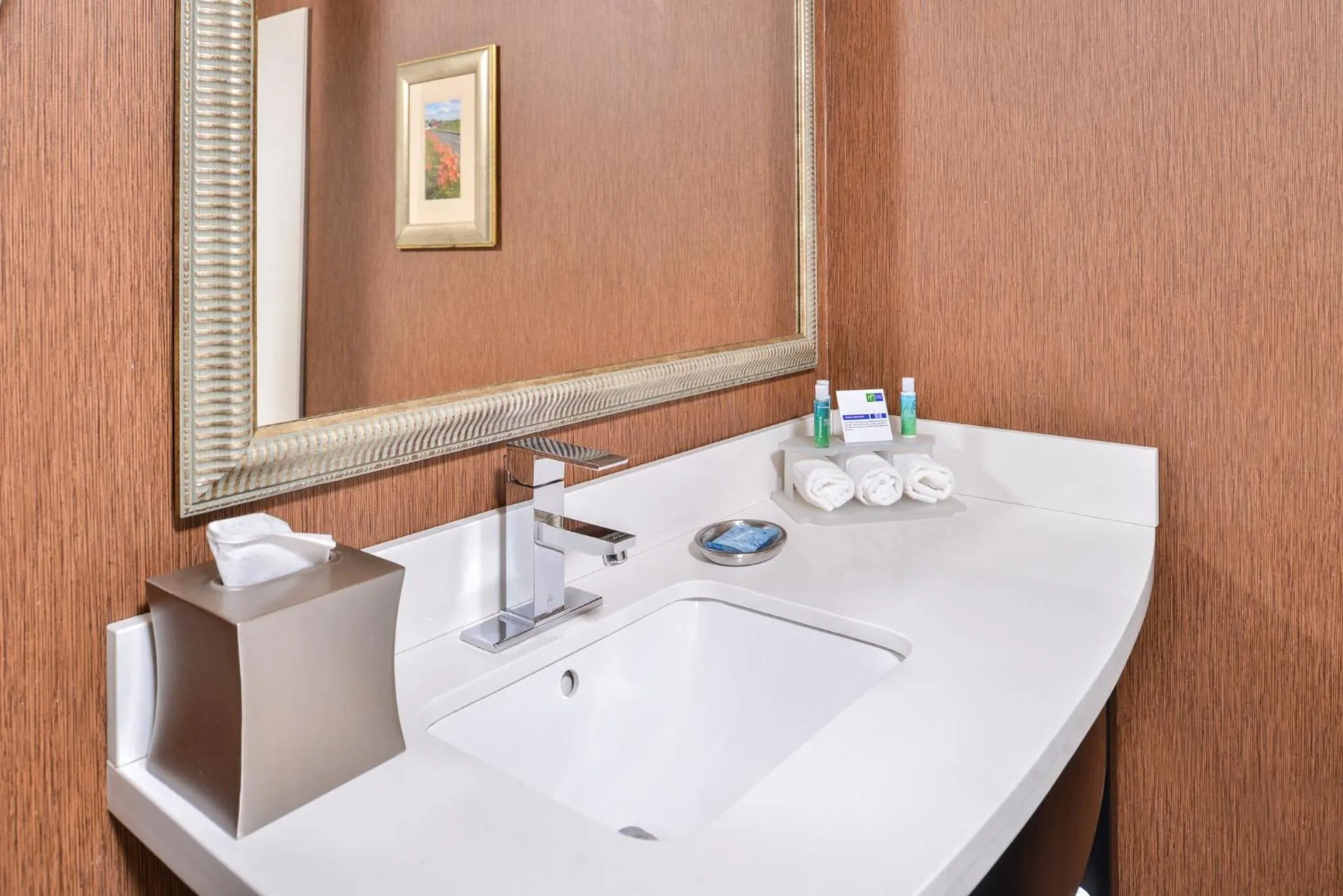 Bathroom in Holiday Inn Express Lewisburg - New Columbia by IHG
