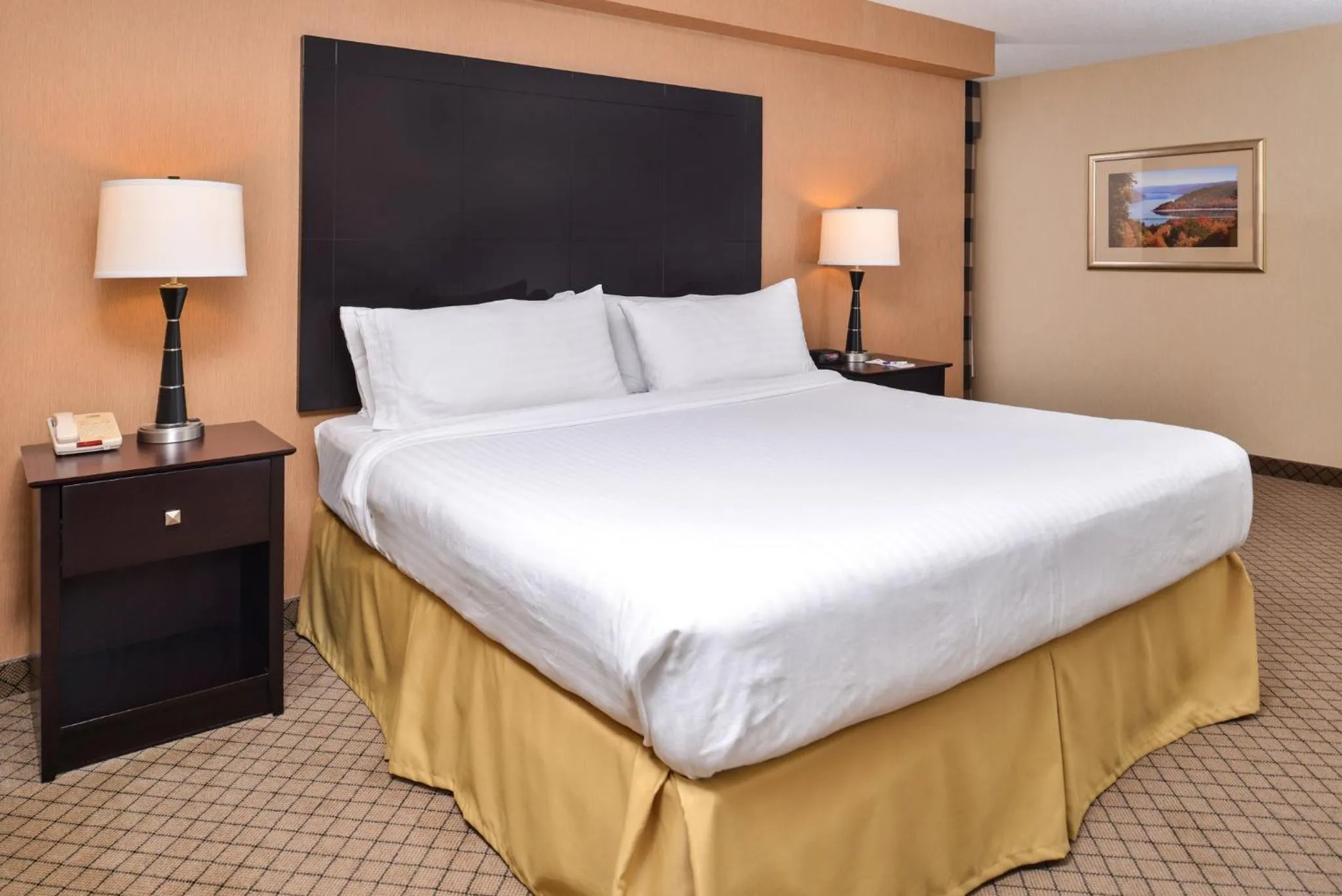Photo of the whole room, Bed in Holiday Inn Express Lewisburg - New Columbia by IHG
