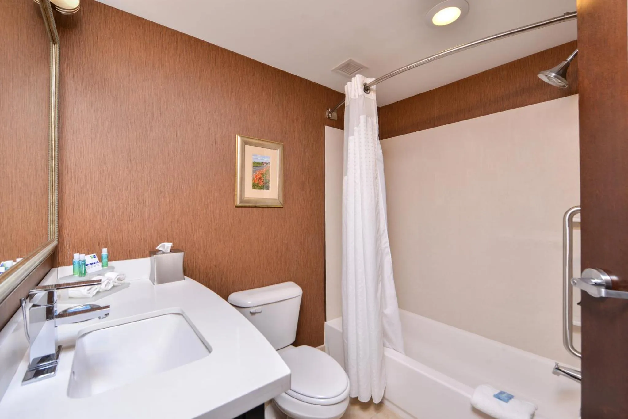 Bathroom in Holiday Inn Express Lewisburg - New Columbia by IHG