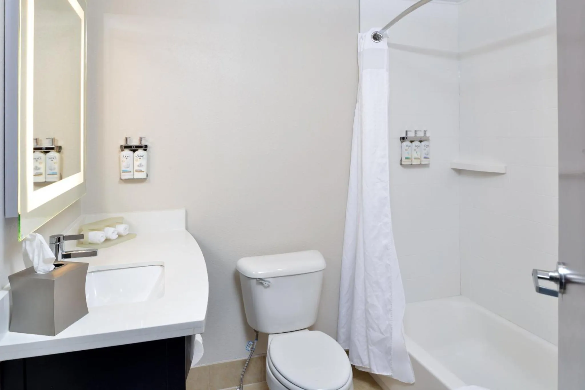 Bathroom in Holiday Inn Express Lewisburg - New Columbia by IHG