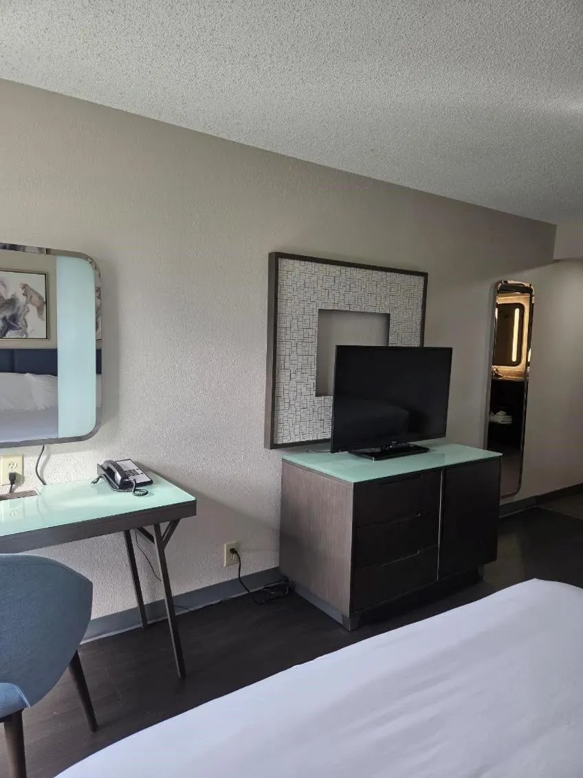 Guests, Bed in Hamilton Inn Birmingham-Bessemer