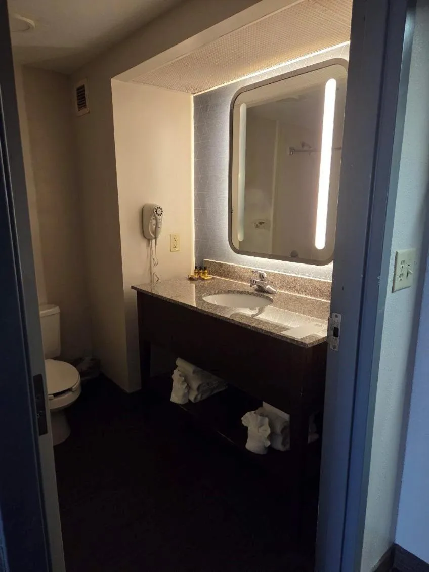 Bathroom in Hamilton Inn Birmingham-Bessemer