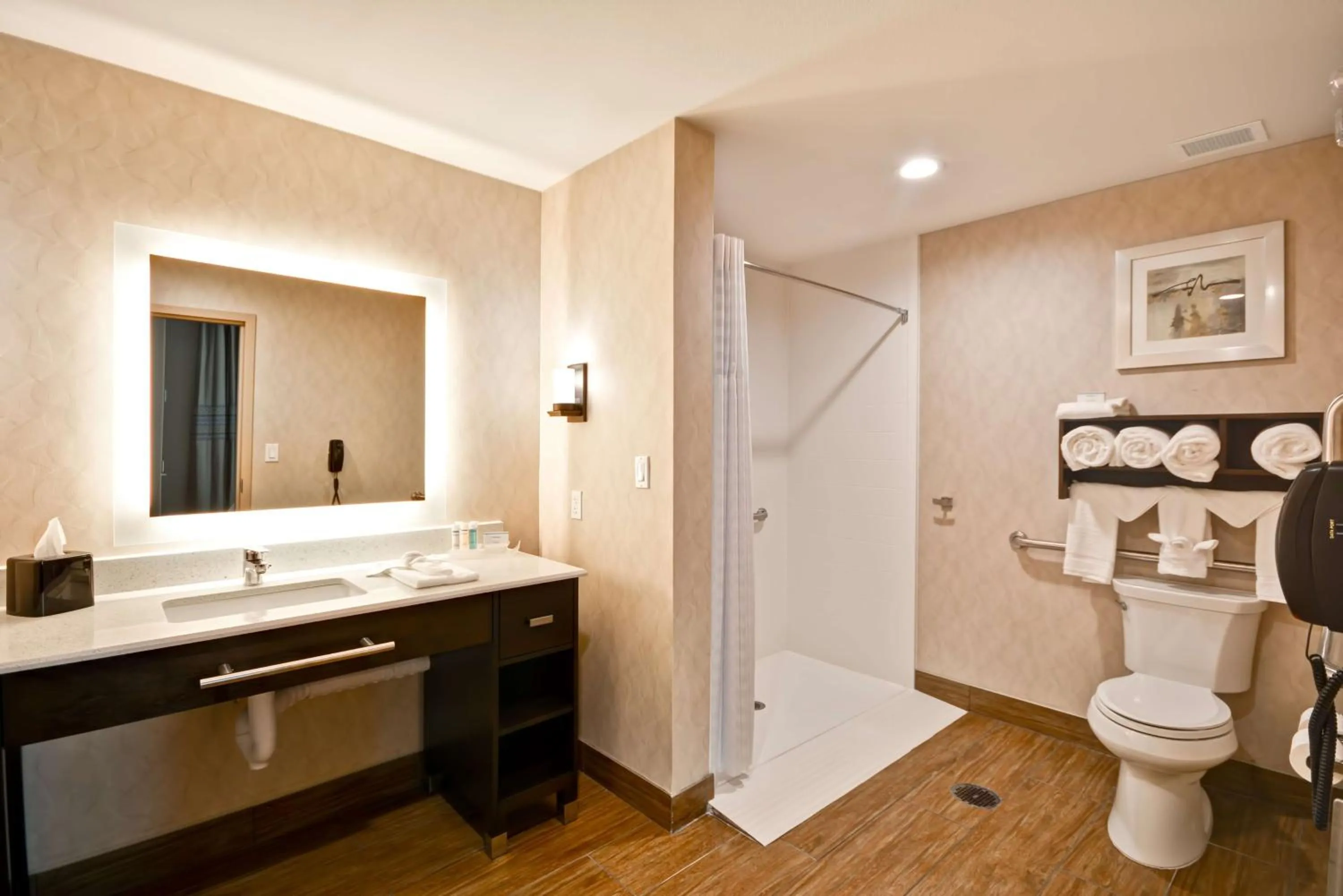 Bathroom in Homewood Suites By Hilton Galveston