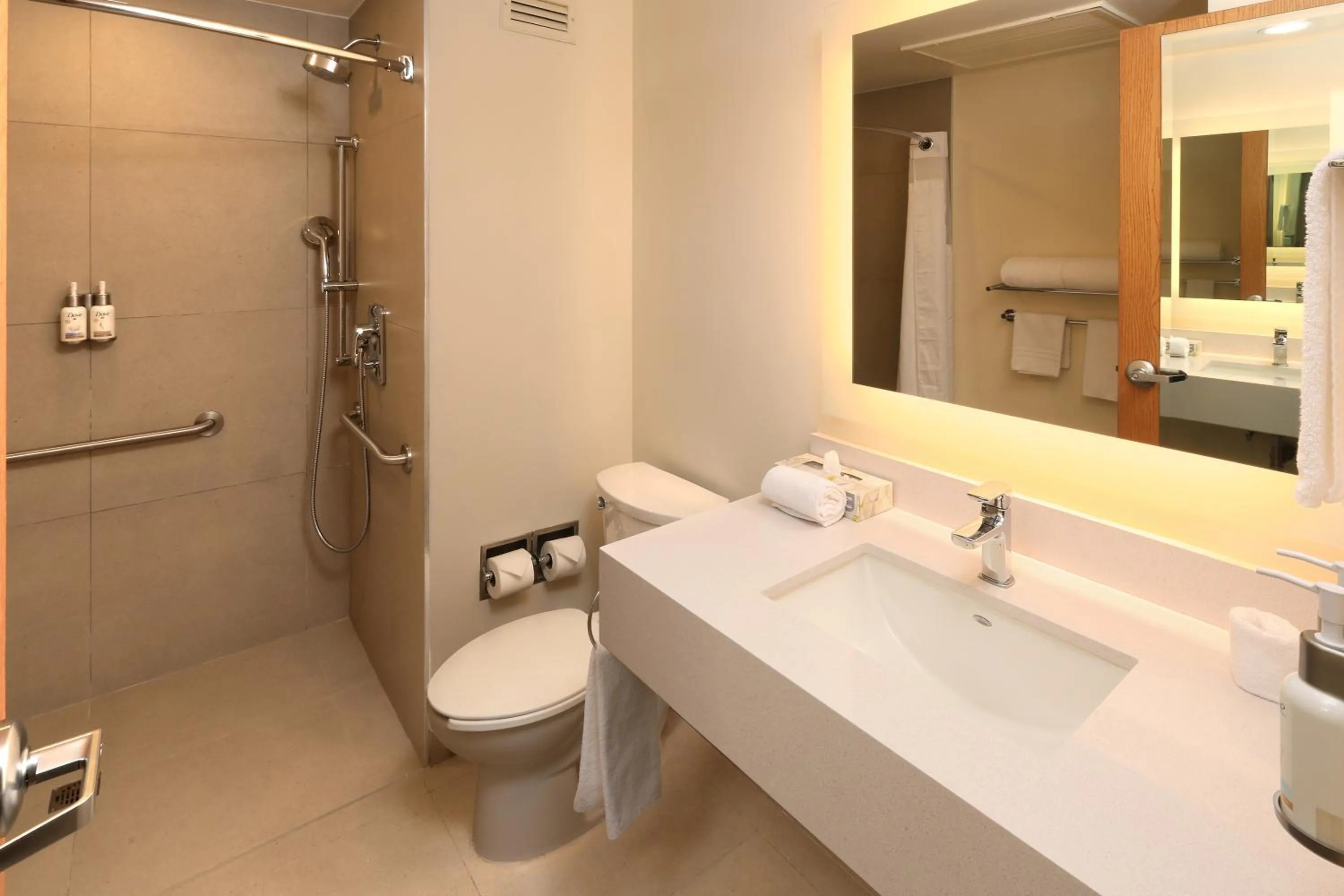 Bathroom in Holiday Inn Express Monterrey Galerias-San Jeronimo by IHG