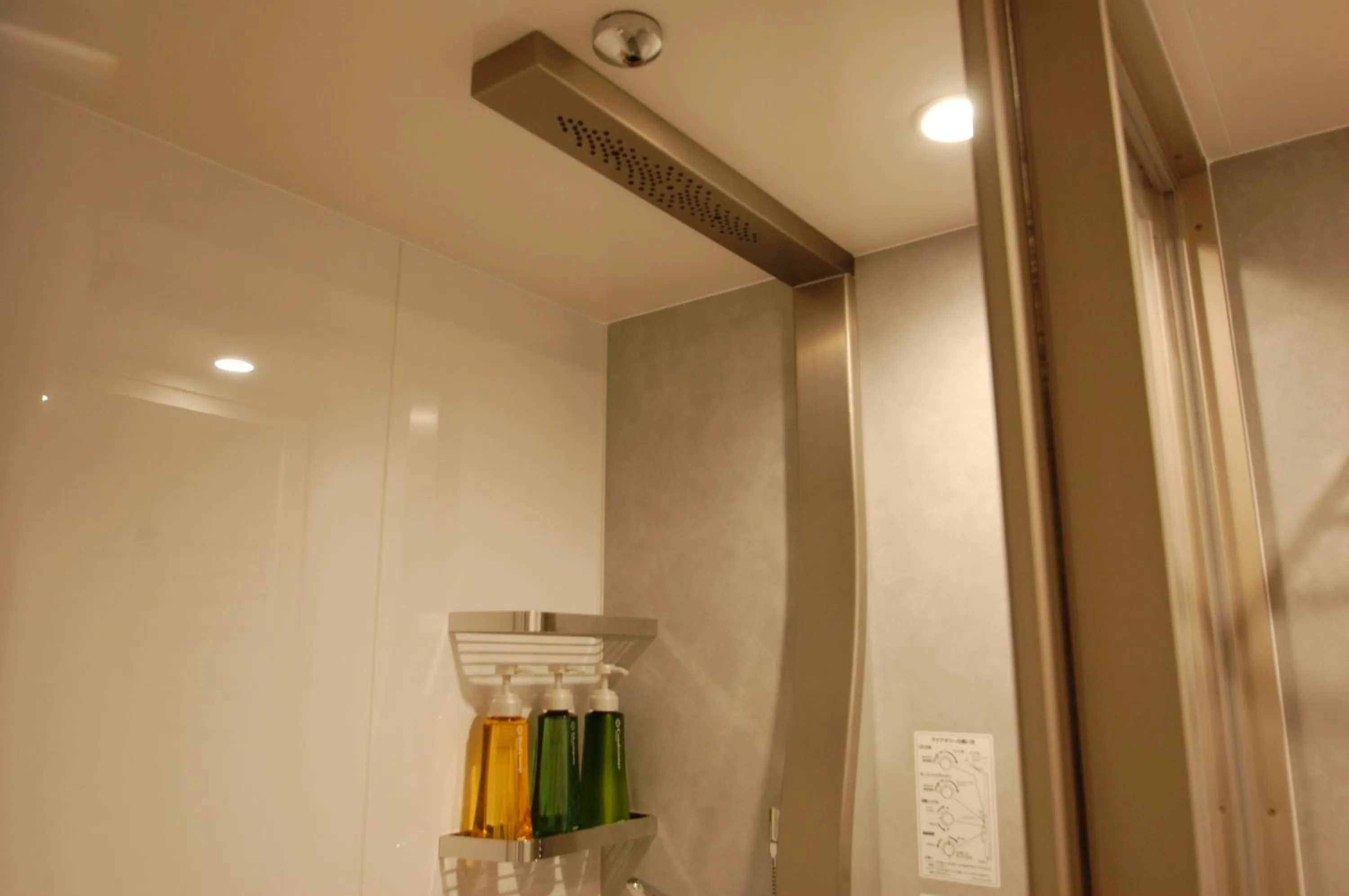 Shower in Izumo Royal Hotel