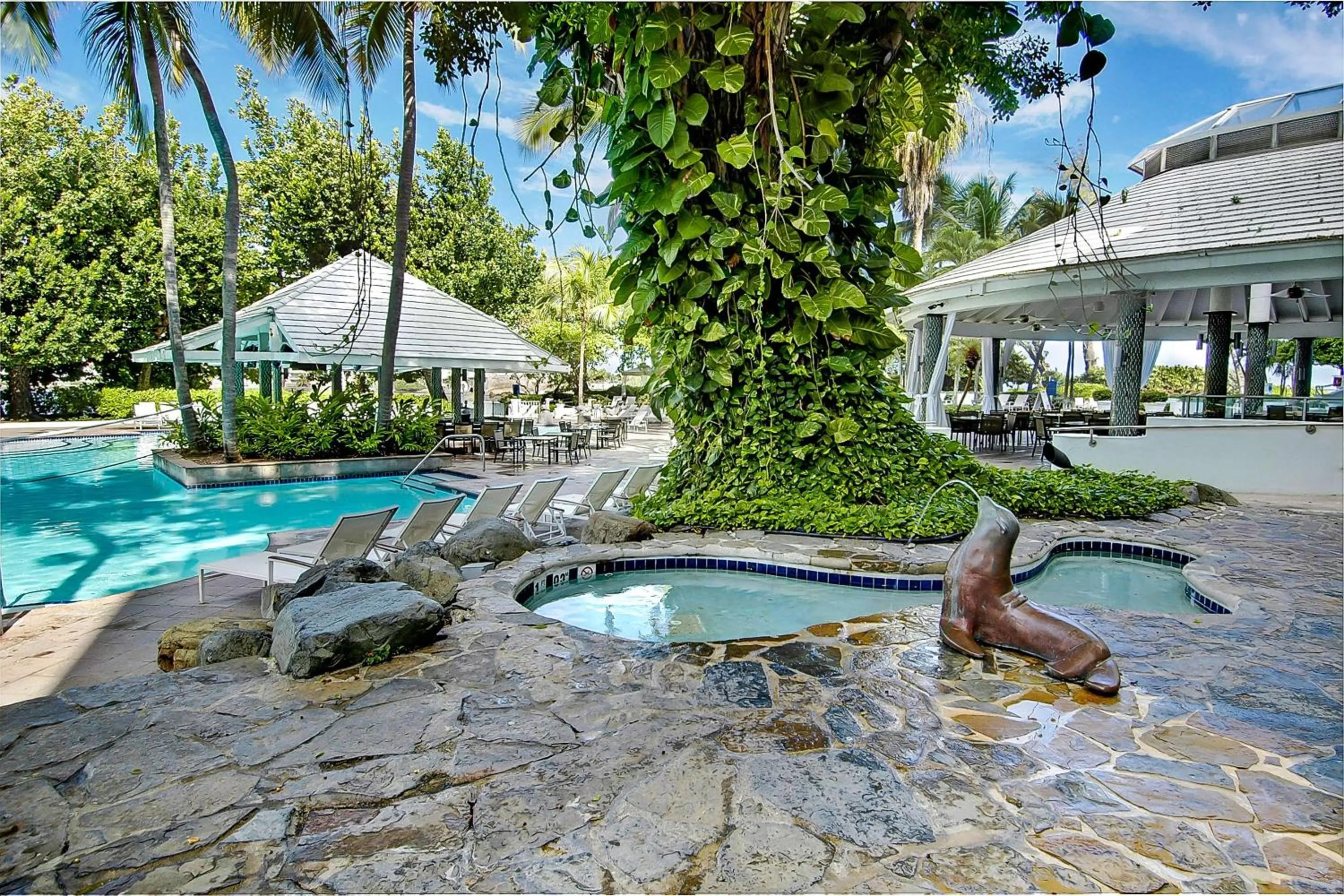 Pool view in The Condado Plaza Hotel