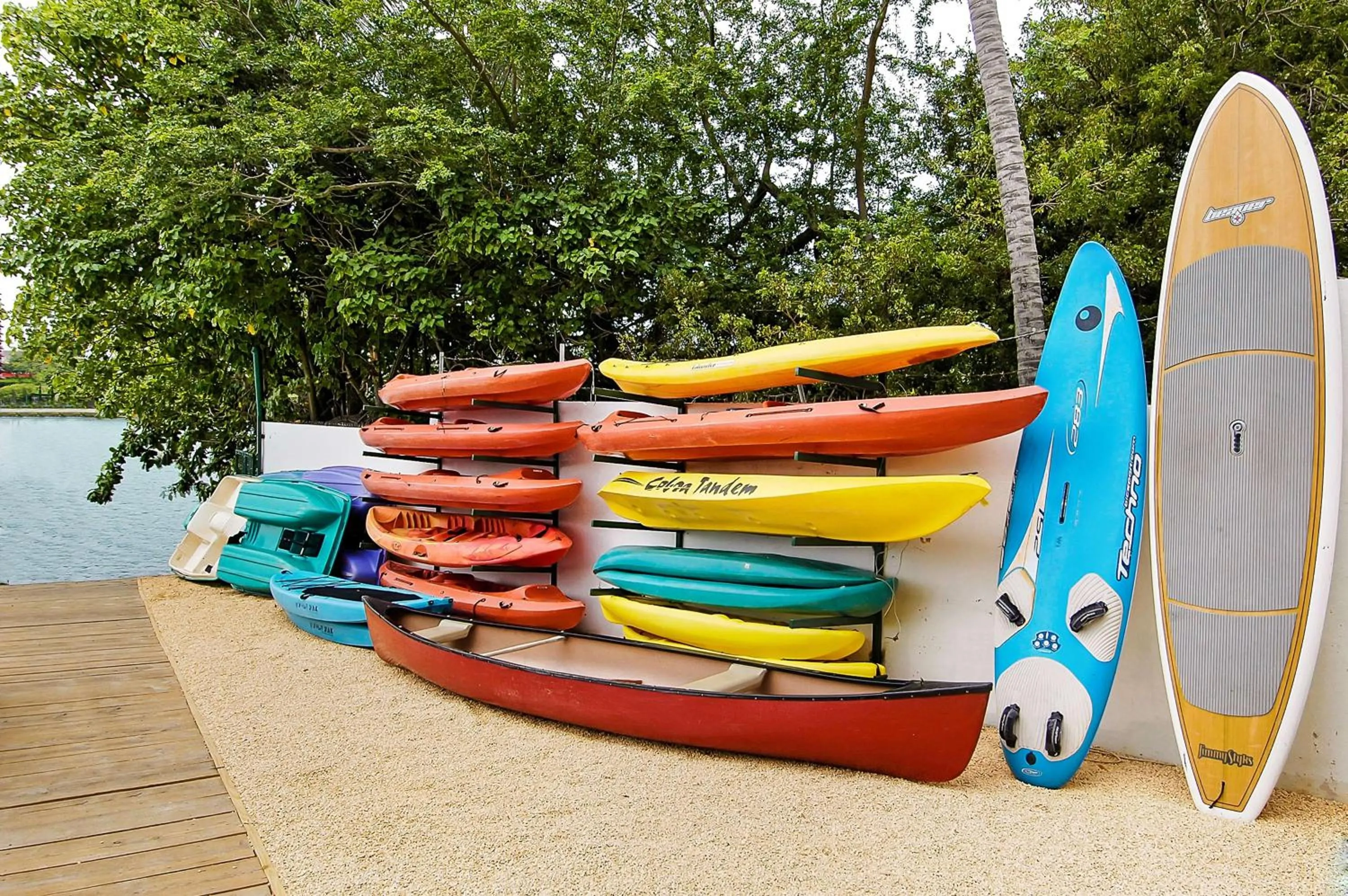 Pool view in The Condado Plaza Hotel