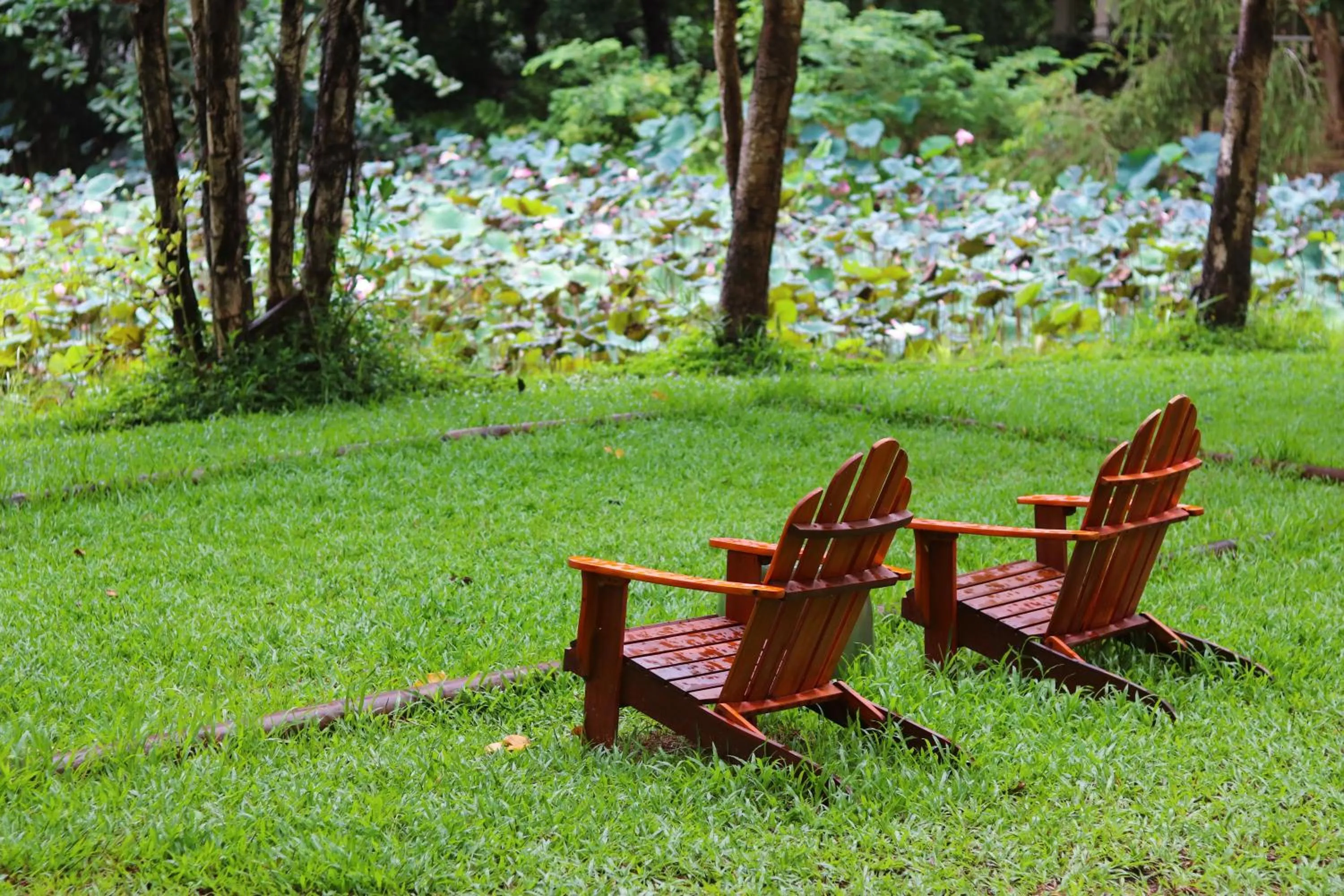 Natural landscape in Poulo Condor Boutique Resort & Spa