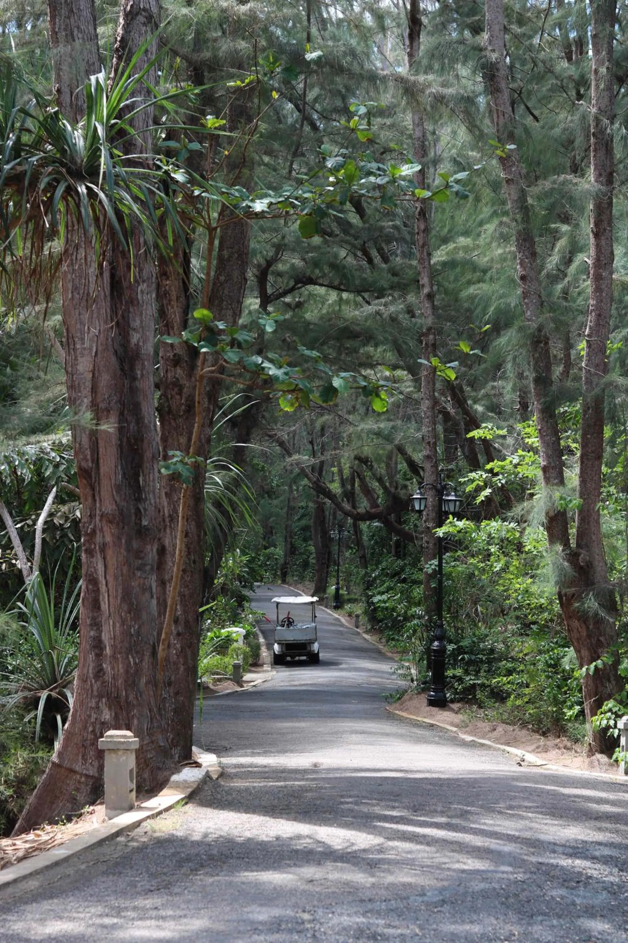 Natural landscape in Poulo Condor Boutique Resort & Spa