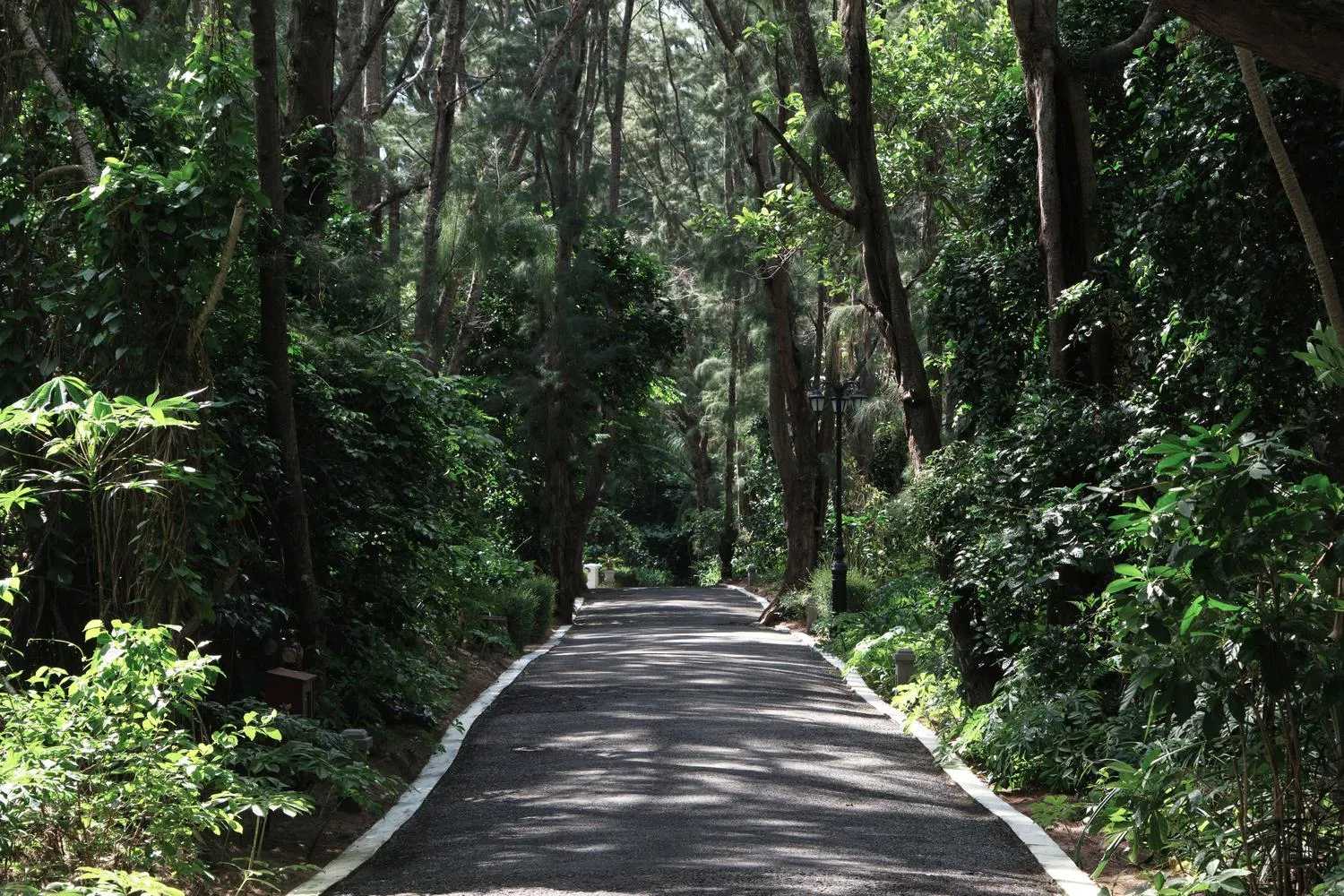 Natural landscape in Poulo Condor Boutique Resort & Spa