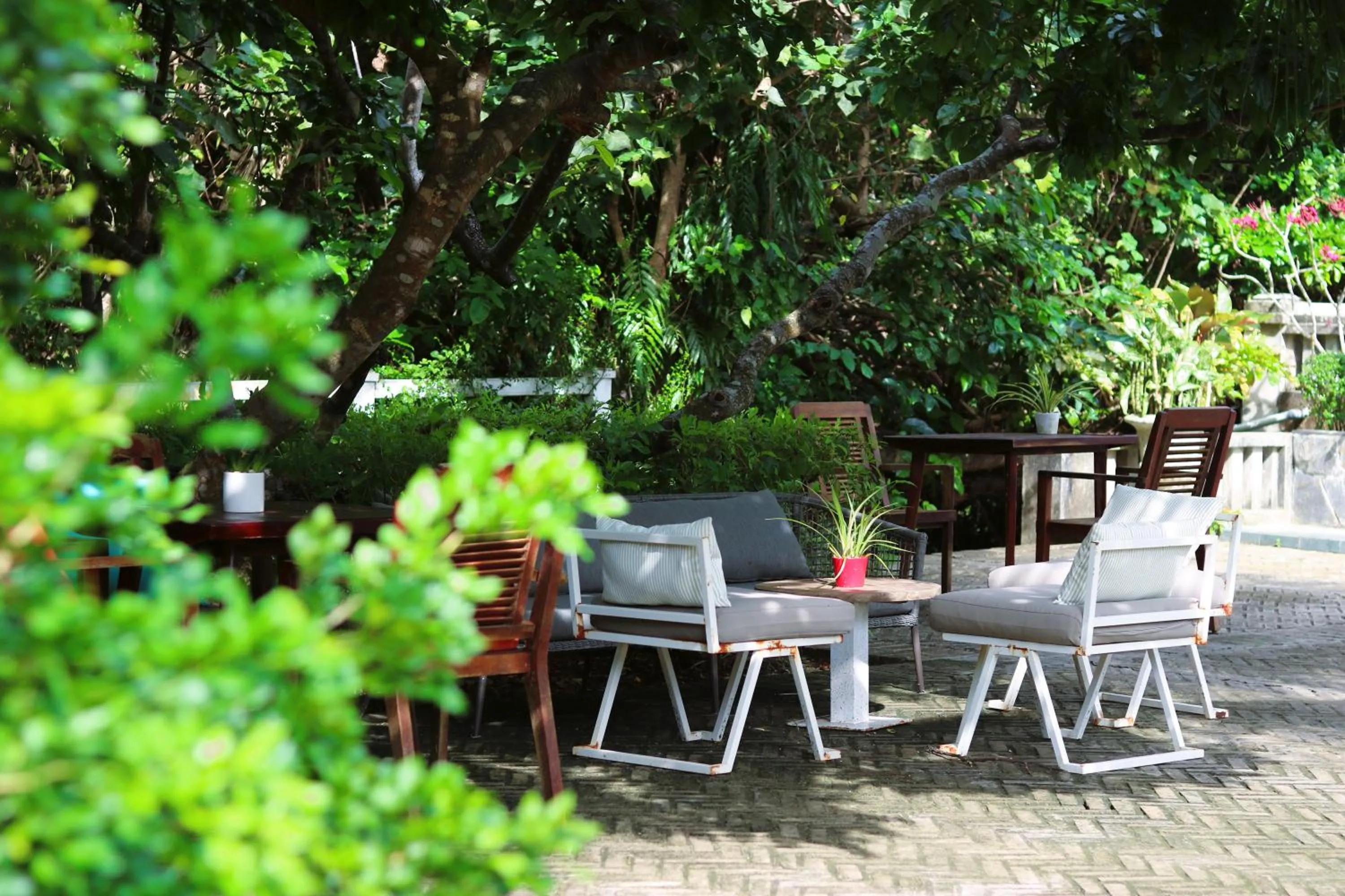 Restaurant/places to eat in Poulo Condor Boutique Resort & Spa