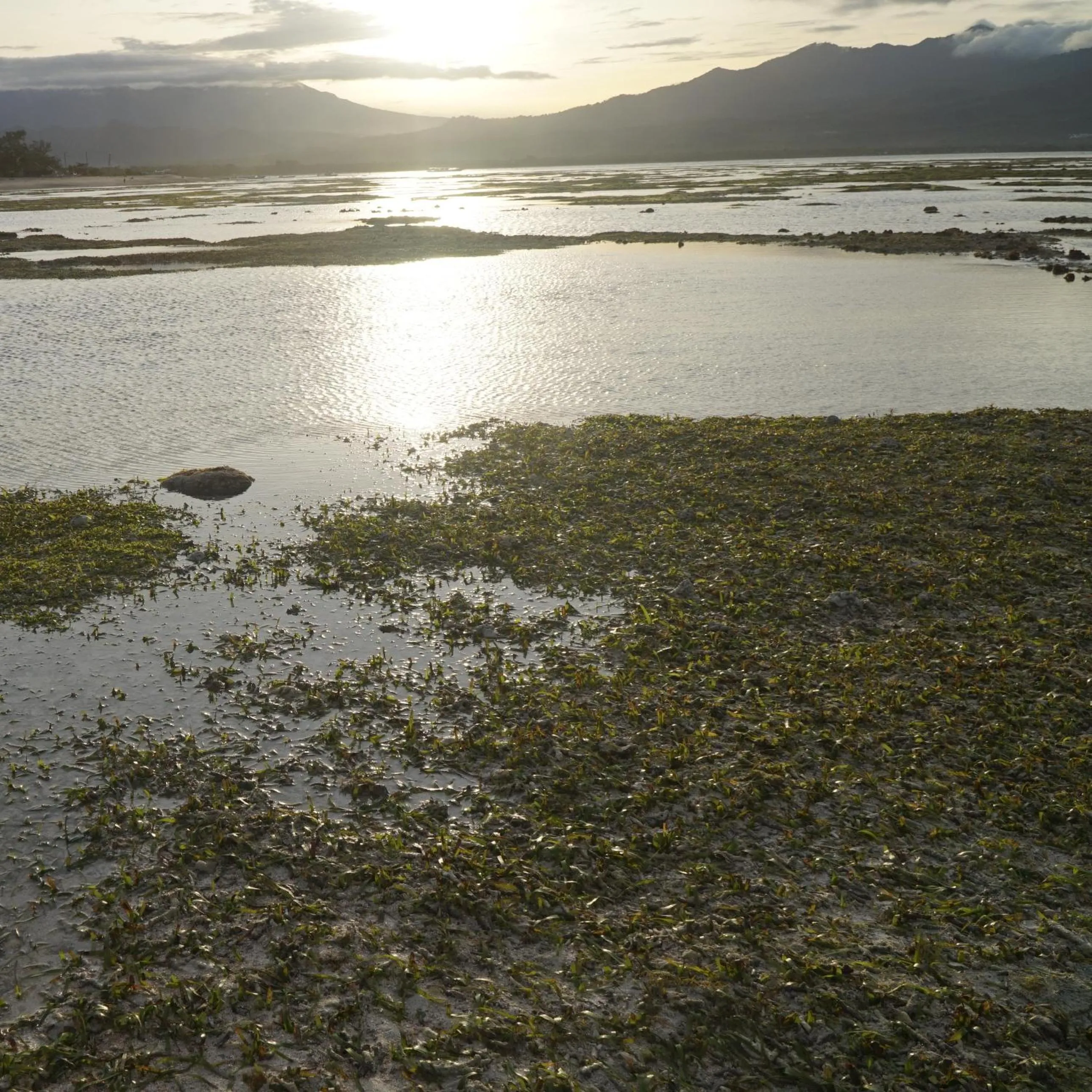 Beach in Mola2 Resort Gili Air